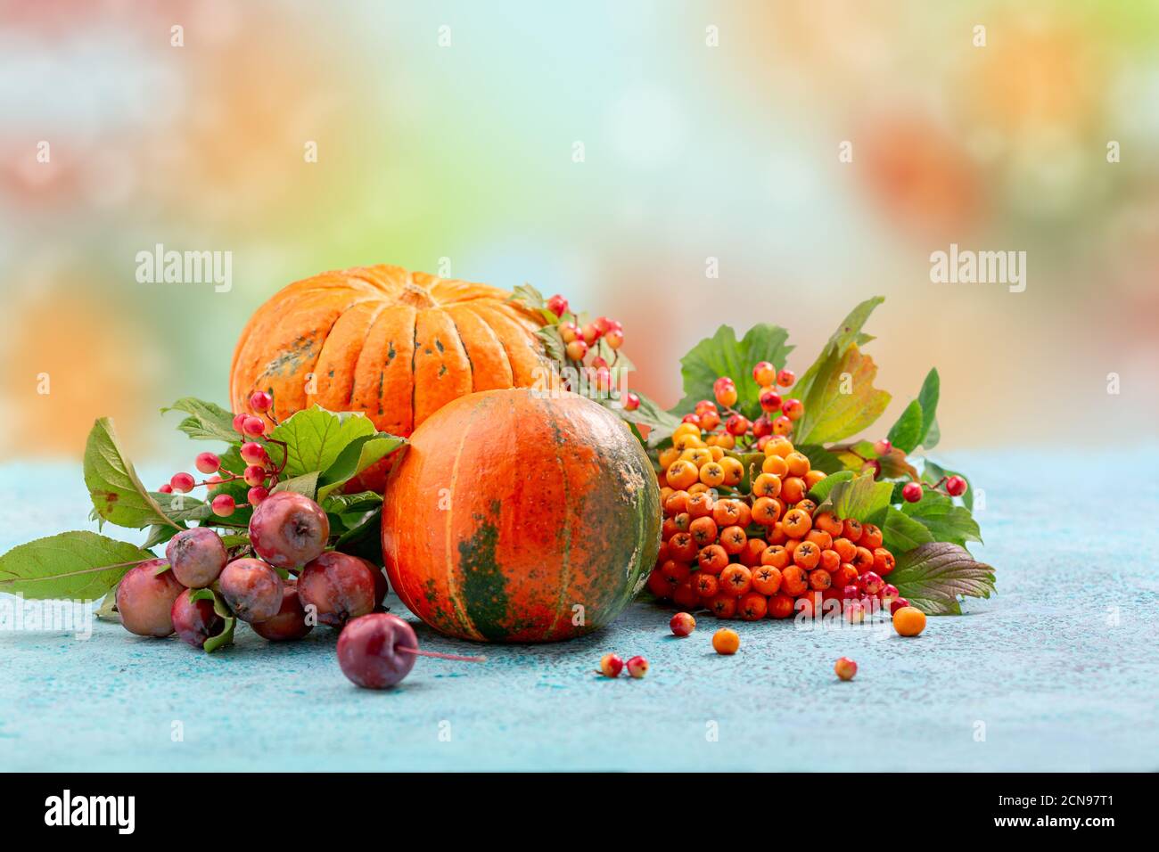 Composition automnale des citrouilles et des branches de cendres de montagne avec le viburnum. Banque D'Images