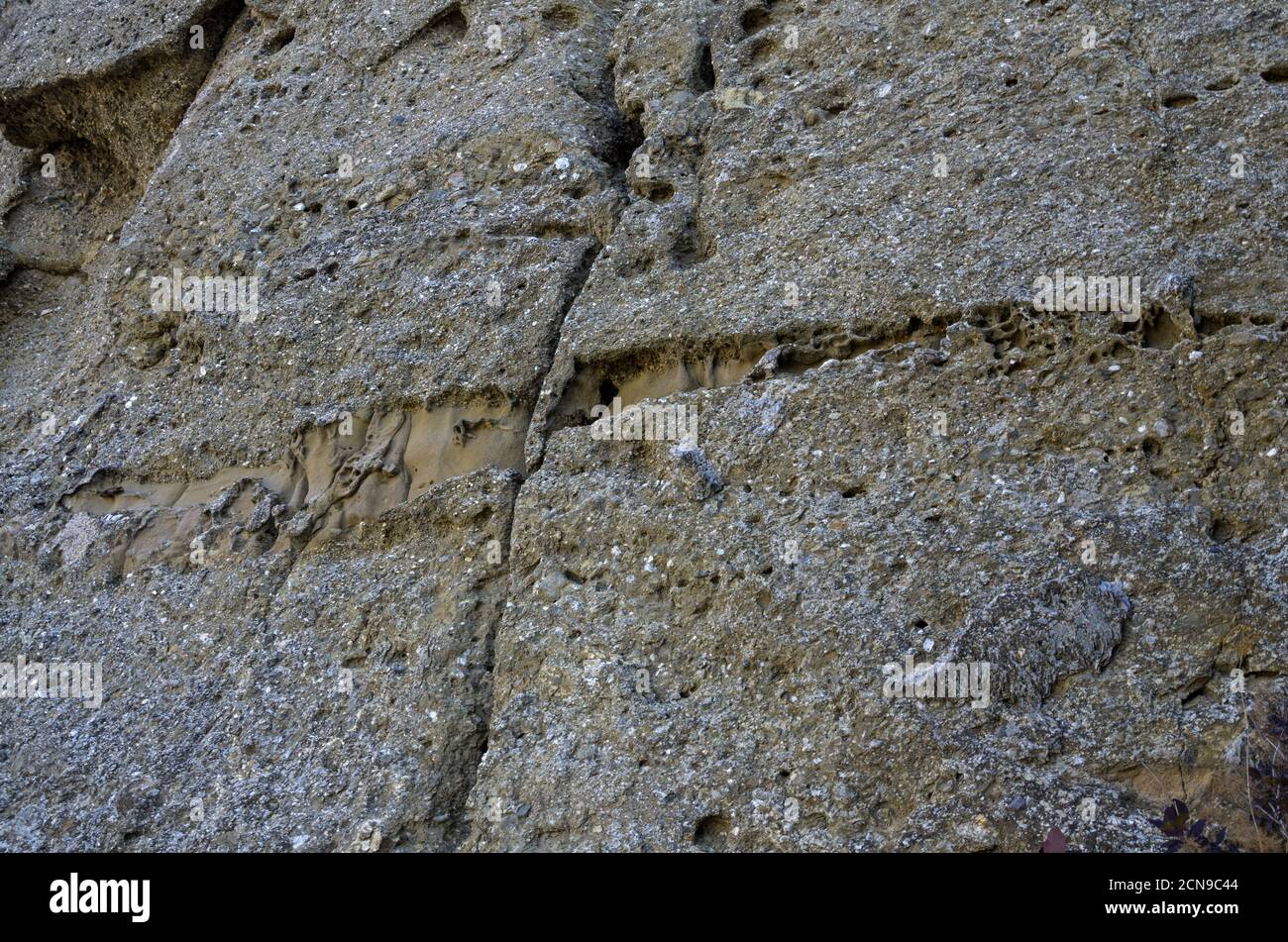 Dépôts de corail fossilisés. Banque D'Images