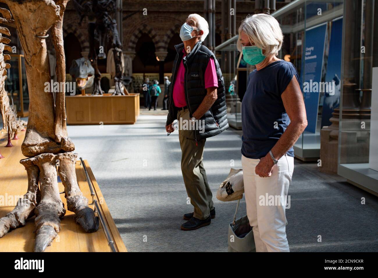 Les visiteurs portant un EPI observent les collections de paléontologie du musée d'histoire naturelle de l'université d'Oxford, le jour de l'ouverture de la présentation. Les visiteurs sont de nouveau accueillis après la fermeture du musée en raison de la pandémie du coronavirus. Banque D'Images