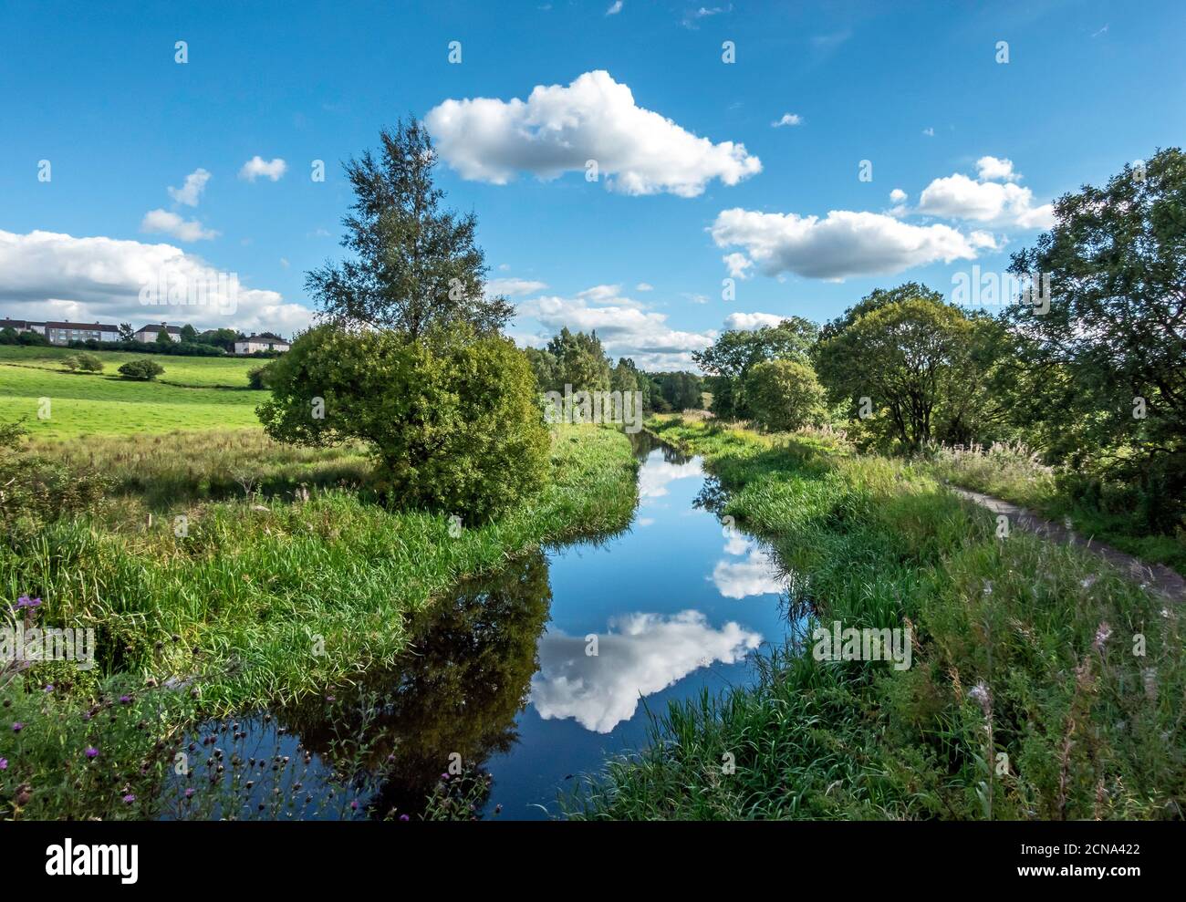 Réflexions de nuages et d'arbres dans le canal de Monkland près de Calderbank North Lanarkshire Scotland UK Banque D'Images
