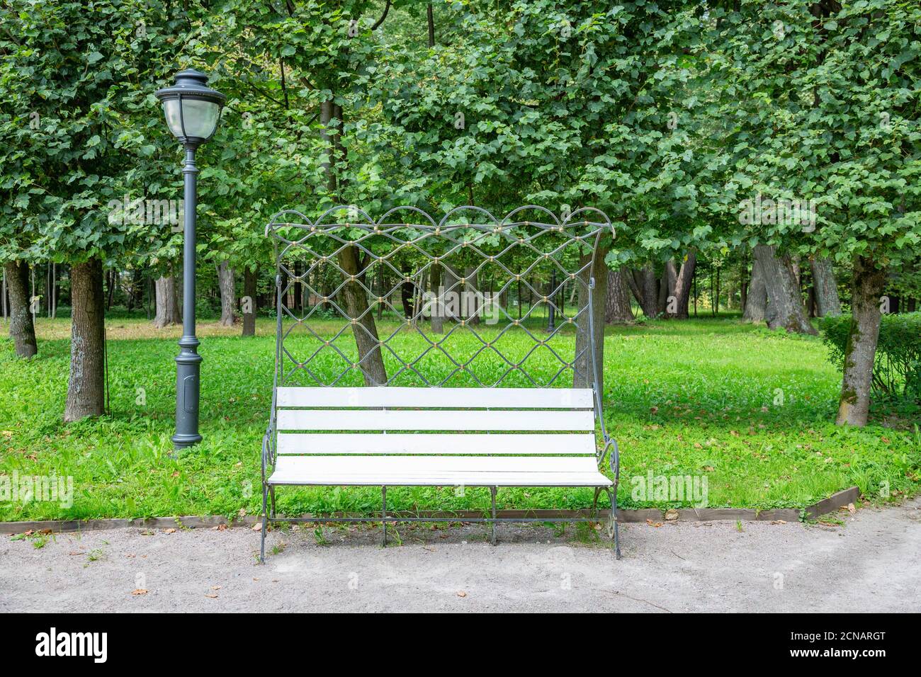 Banc en bois blanc dans le parc de la ville Banque D'Images