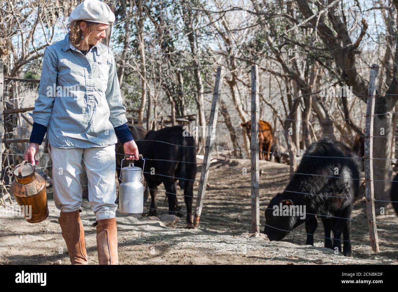 femme travaillant en milieu rural qui traite les vaches Banque D'Images