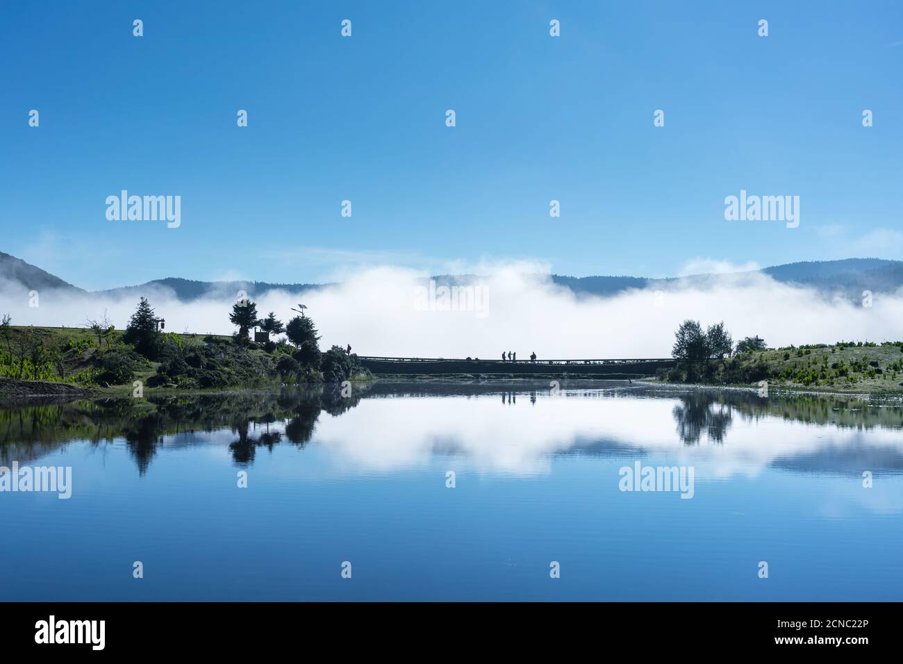 brouillard marin à travers le lac Banque D'Images