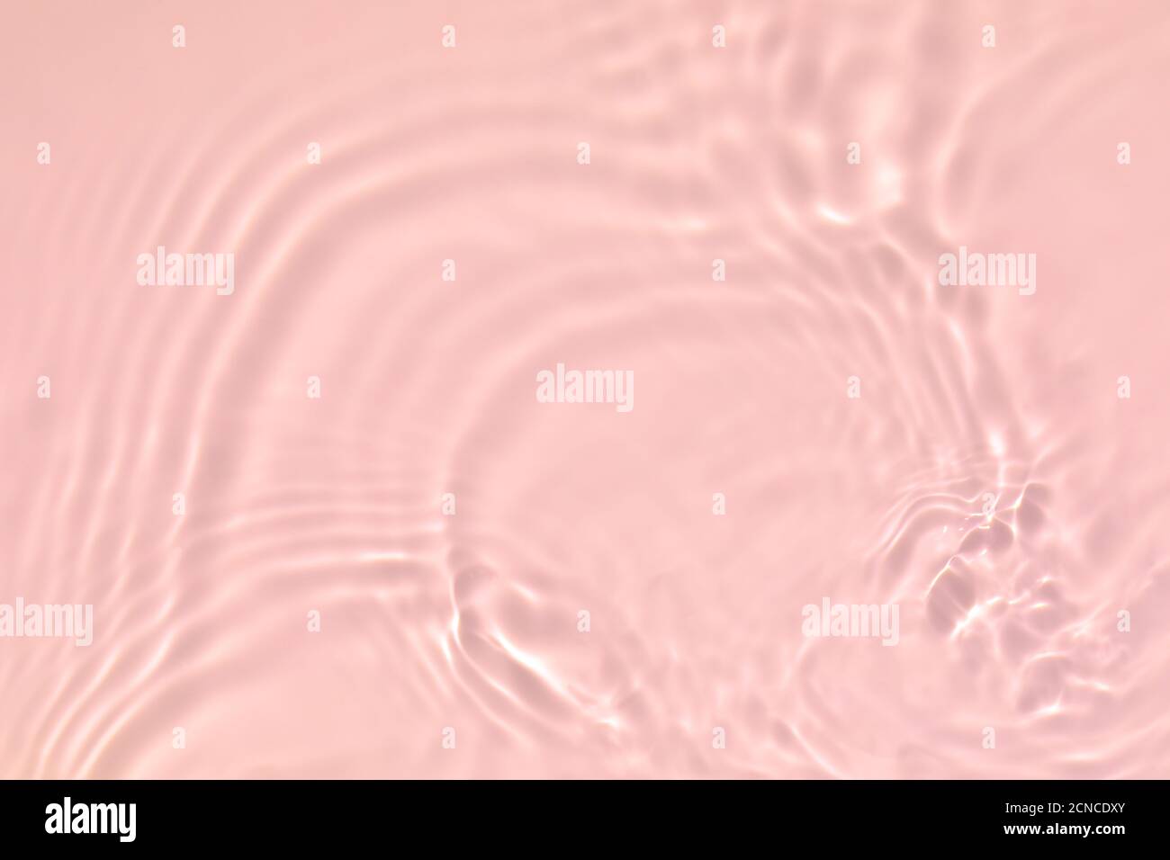 rose transparent eau transparente texture de surface été fond Banque D'Images