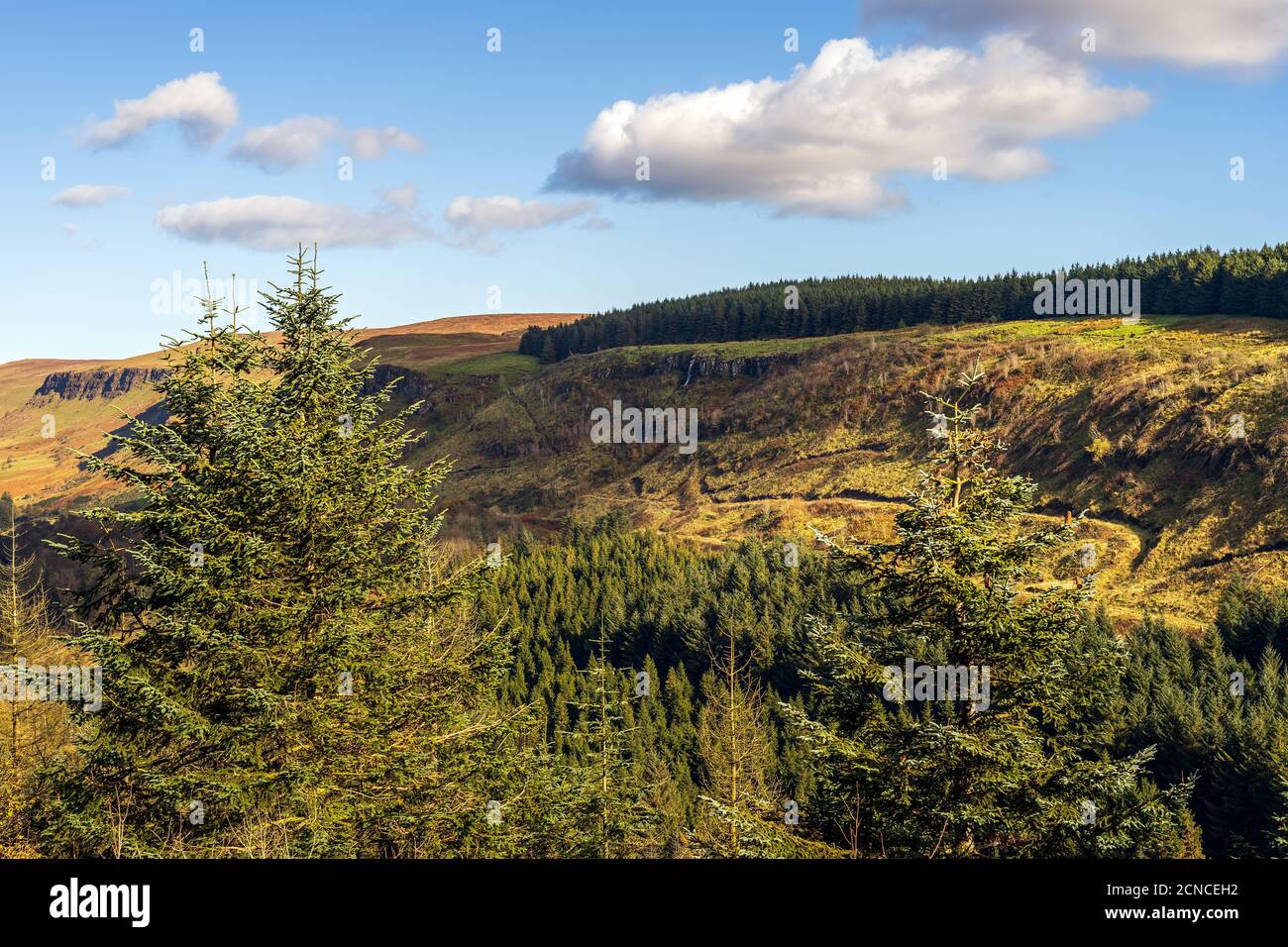 Belle cascade et ruisseau dans la vallée de la forêt de Glenariff Stationnement Banque D'Images