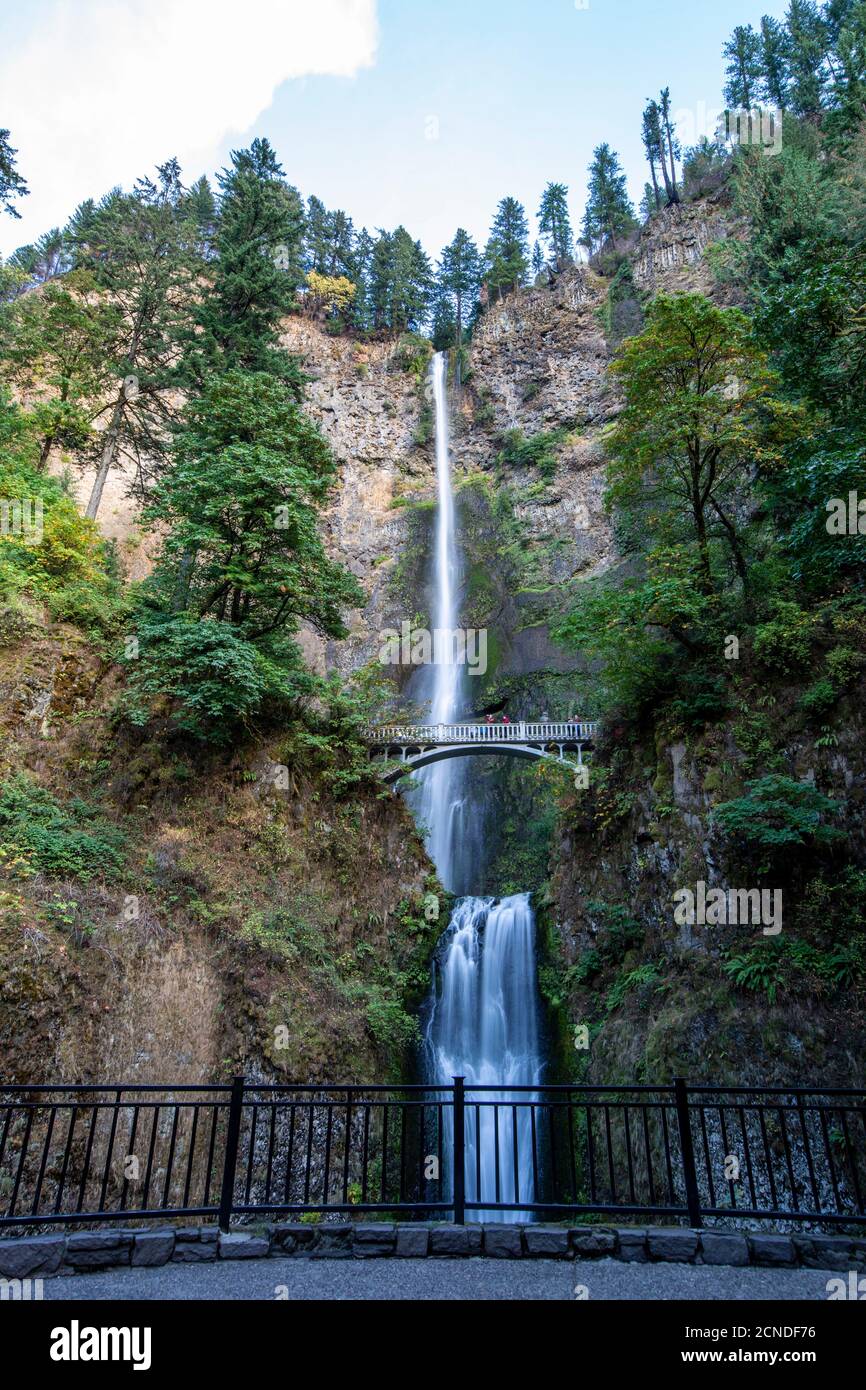 Multnomah Falls, la plus haute chute d'eau de l'État de l'Oregon à 620 pieds de hauteur, gorge de la rivière Columbia, Oregon, États-Unis d'Amérique Banque D'Images