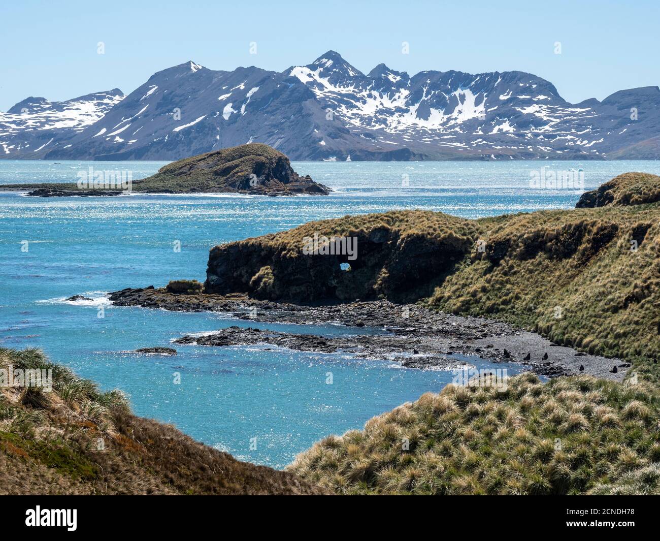 Montagnes enneigées et collines couvertes de défenses à Maiviken, Géorgie du Sud, régions polaires Banque D'Images