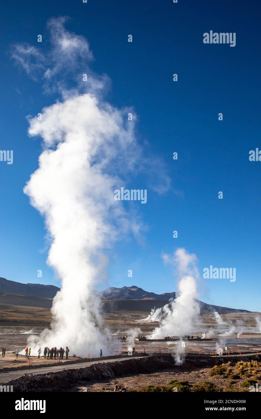 Touristes au geysers del Tatio (El Tatio), le troisième plus grand champ geyser du monde, la zone volcanique centrale andine, région d'Antofagasta, Chili Banque D'Images