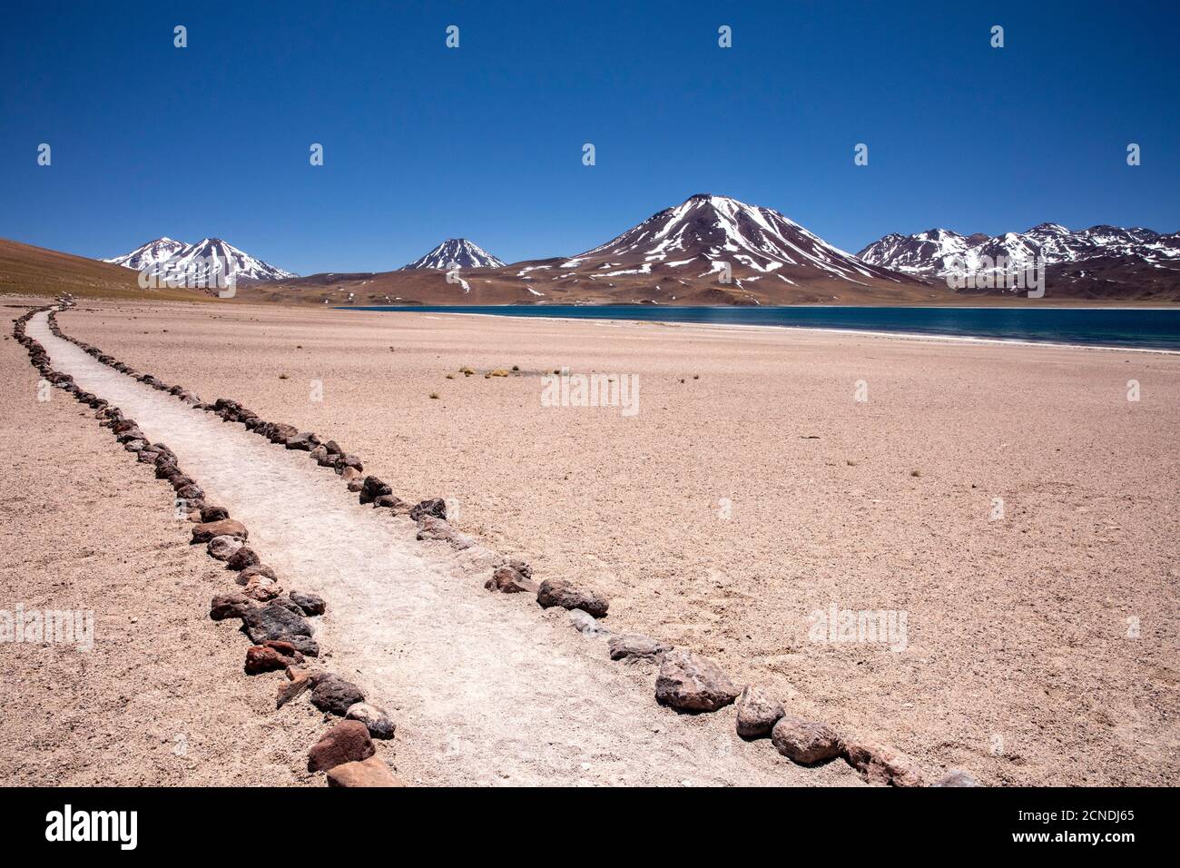 Chemin vers Laguna Miscanti, un lac saumâtre à une altitude de 4140 mètres dans la zone volcanique centrale andine, au Chili Banque D'Images Chemin vers Laguna Miscanti, un lac saumâtre à une altitude de 4140 mètres dans la zone volcanique centrale andine, au Chili Banque D'Images