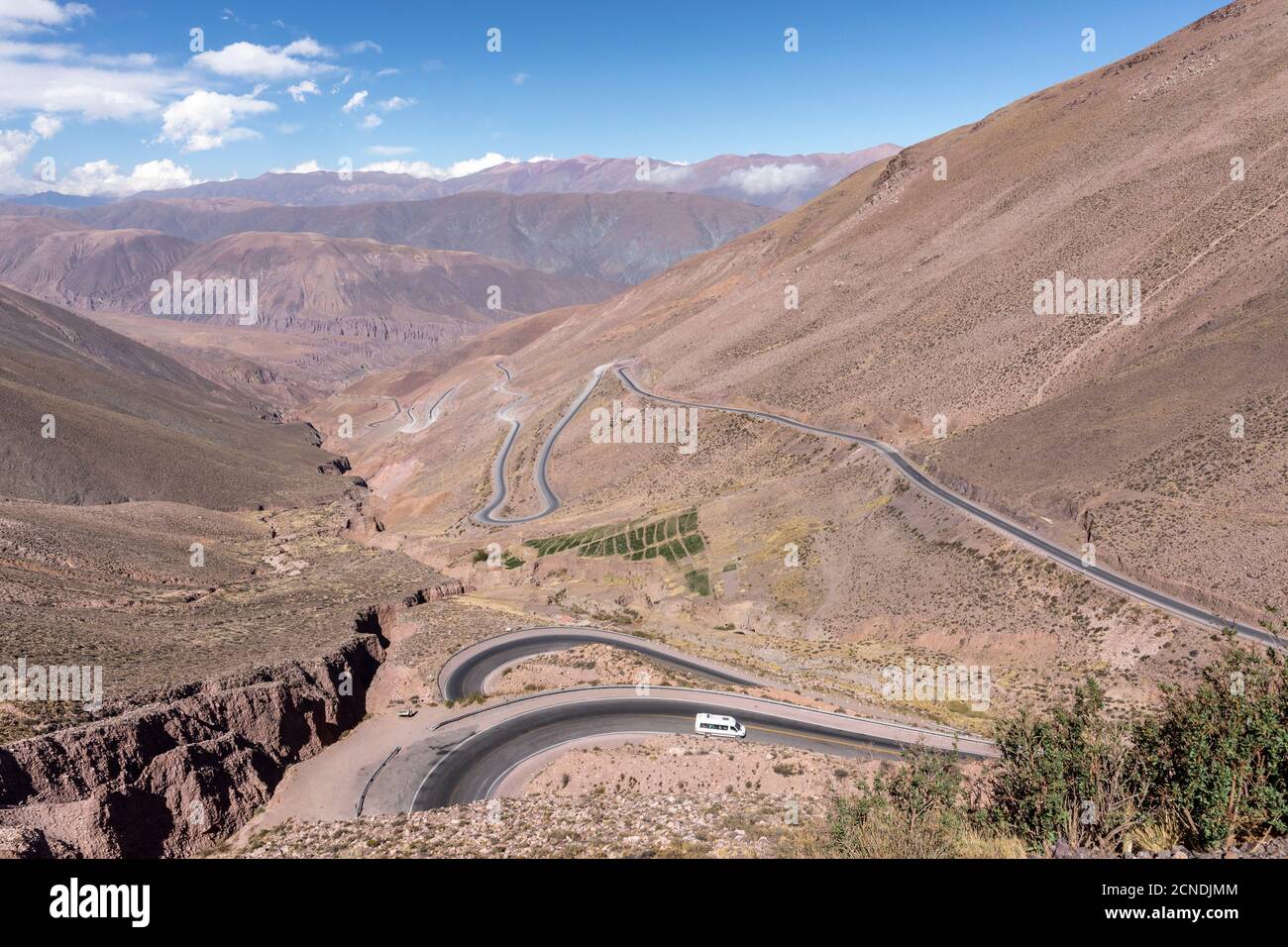 Route 52, route escarpée menant au col de Piedra del Molino, parc national de Los Cardones, province de Salta, Argentine Banque D'Images