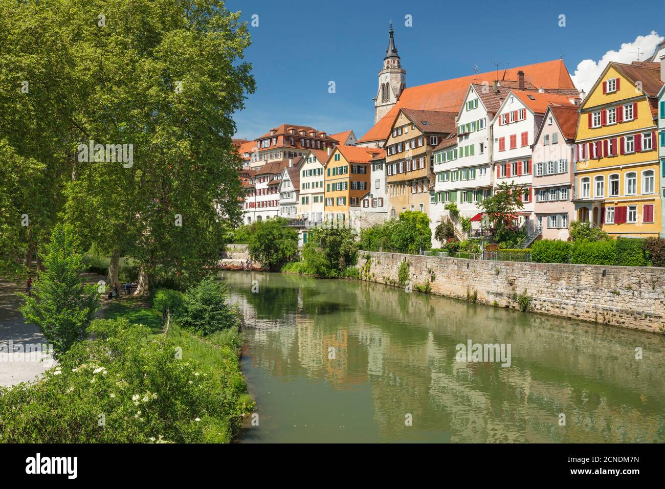 Vieille ville avec église Stiftskirche se reflétant dans le Neckar, Tubingen, Bade-Wurtemberg, Allemagne, Europe Banque D'Images