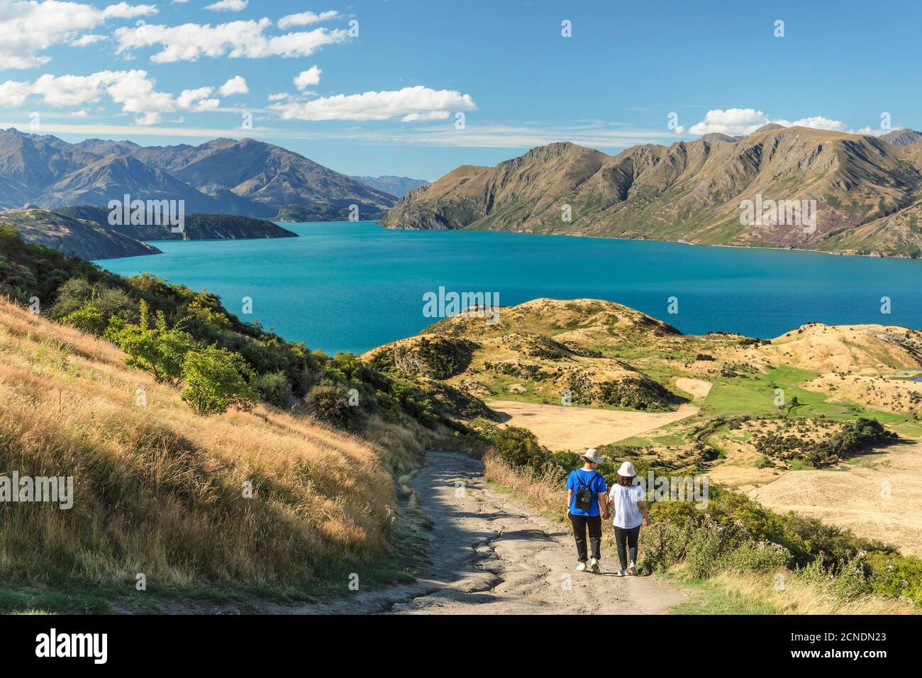 Randonneur sur Roy's Peak Track en admirant la vue sur le lac Wanaka, le parc national Mount-Aspiring, Otago, South Island, Nouvelle-Zélande, Pacifique Banque D'Images