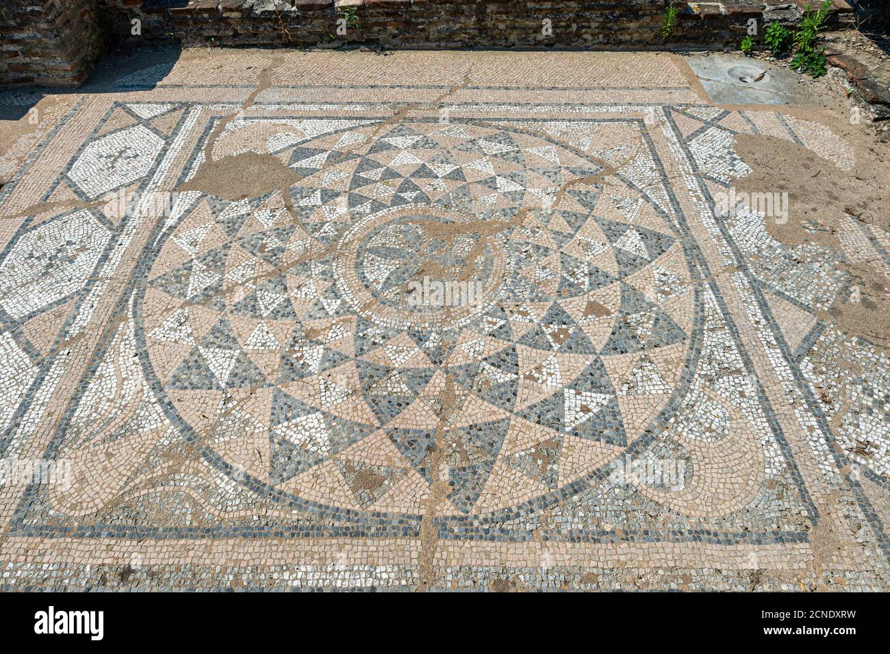 Mosaïque dans le Parc archéologique de Dion, le Mont Olympe, la Grèce, l'Europe Banque D'Images