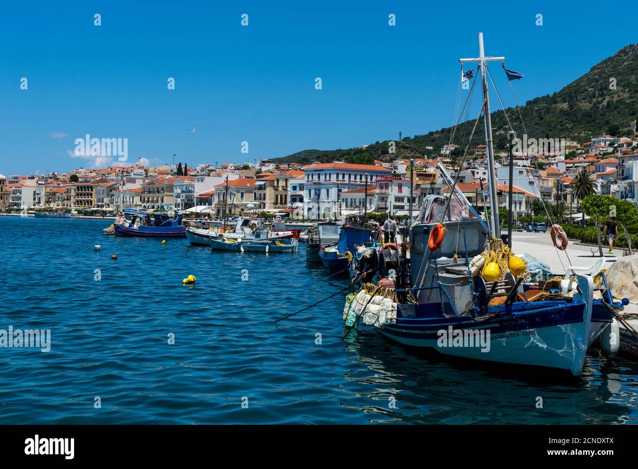 Port de pêche, ville de Samos, Samos, Iles grecques, Grèce, Europe Banque D'Images