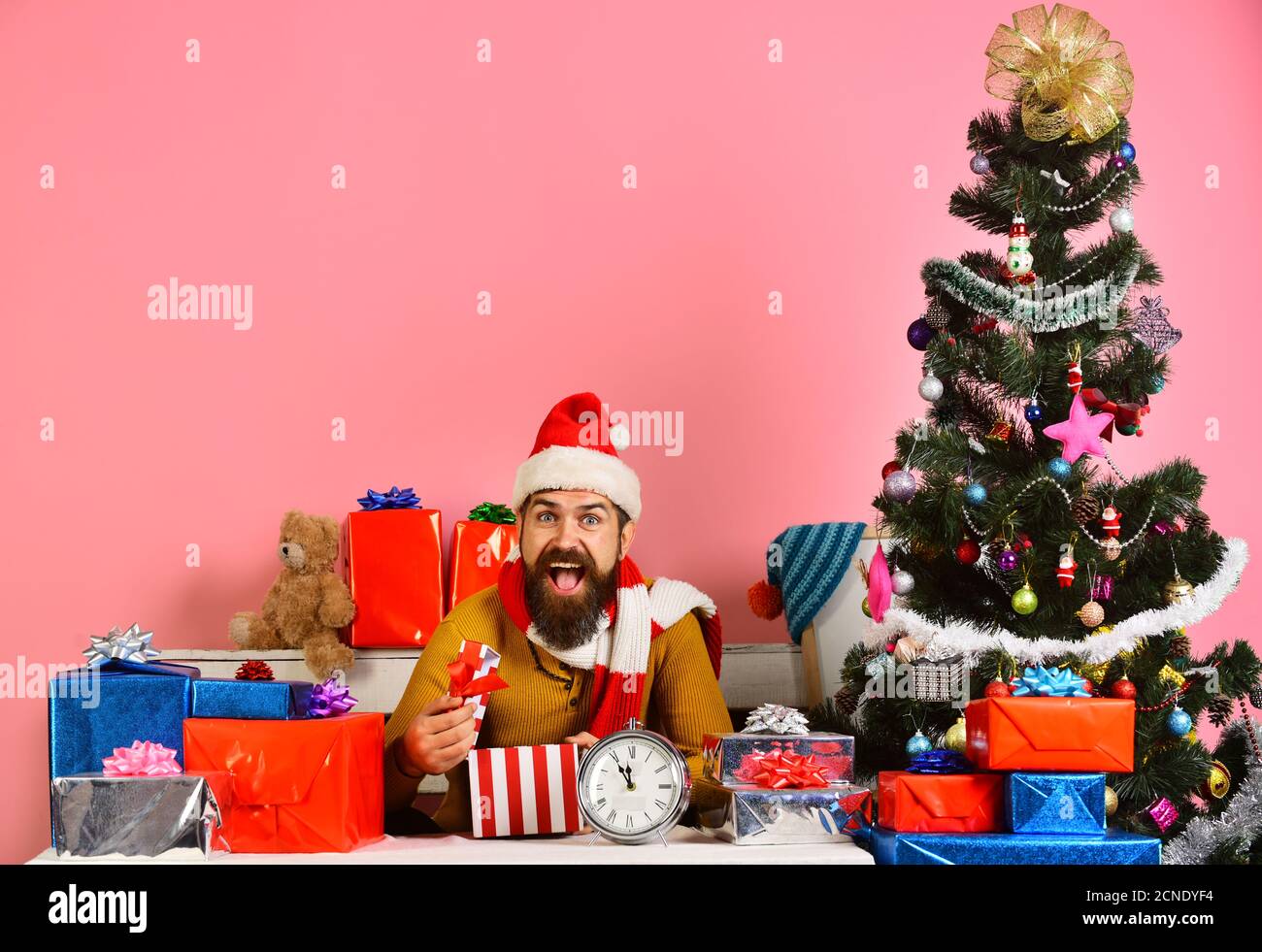 Santa est titulaire boîte-cadeau. Homme avec barbe et heureux face célèbre Boxing Day. La veille de Noël et cadeaux concept. Le Père Noël ouvre présente près d'un arbre décoré sur fond rose. Banque D'Images