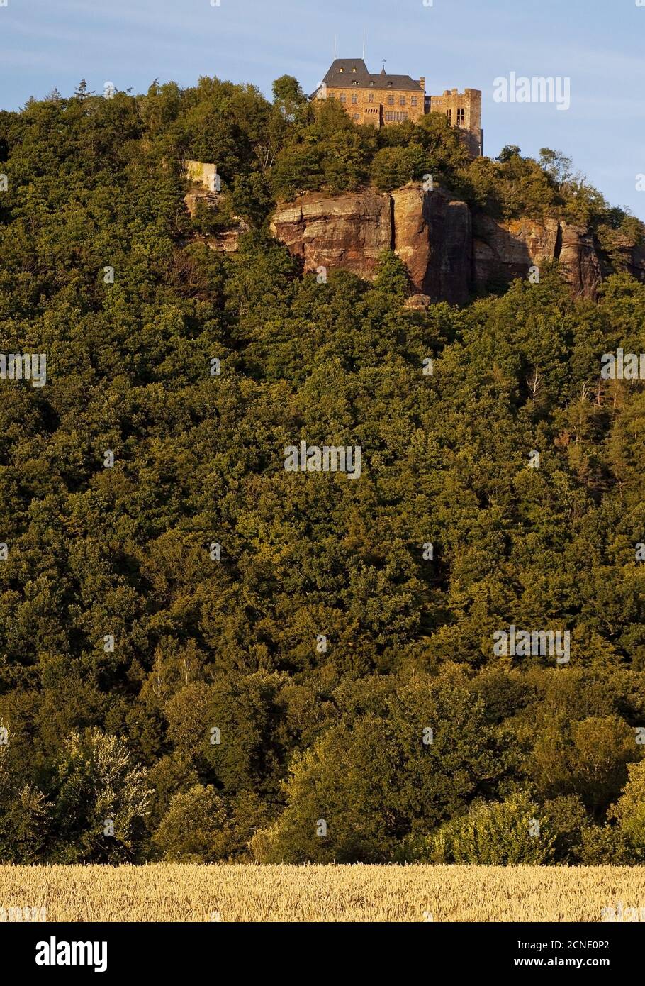 Château de Nideggen au-dessus de la vallée de Rur, Nideggen, Eifel, Rhénanie-du-Nord-Westphalie, Allemagne, Europe Banque D'Images