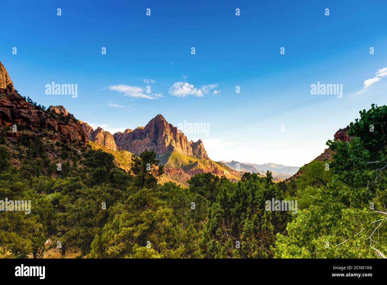 Vue panoramique sur le parc national de Zion, Utah, États-Unis d'Amérique Banque D'Images