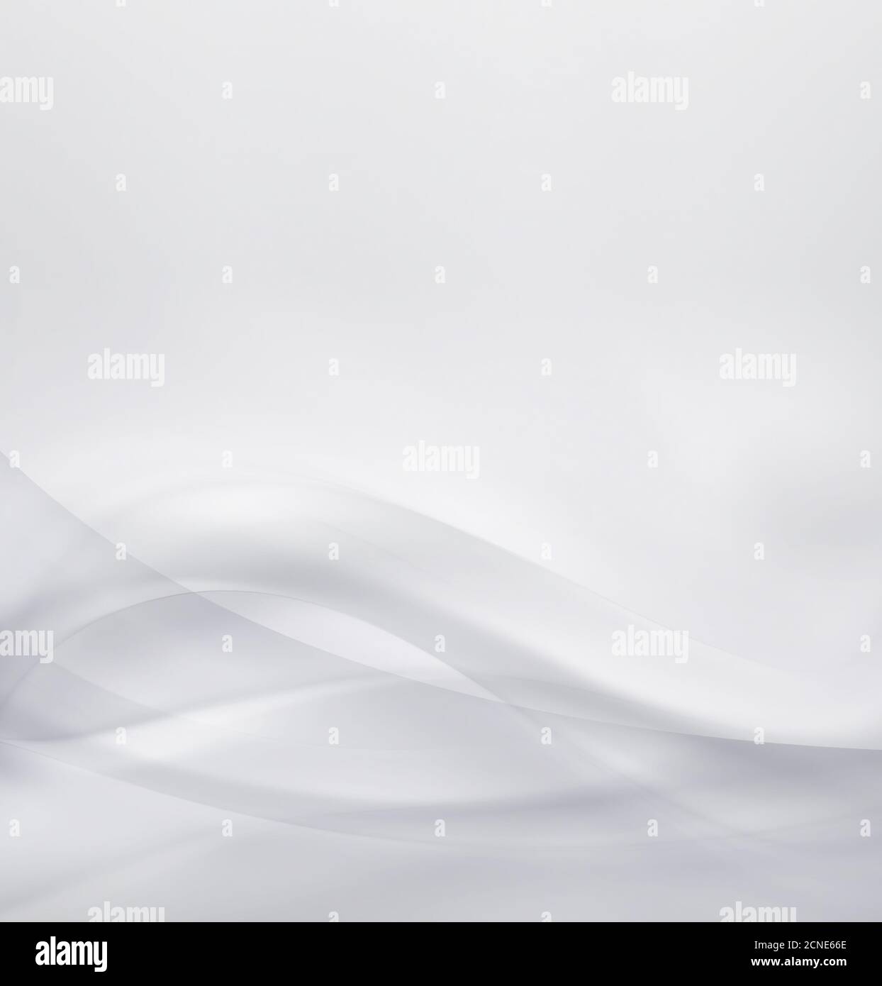 Fond blanc Banque D'Images