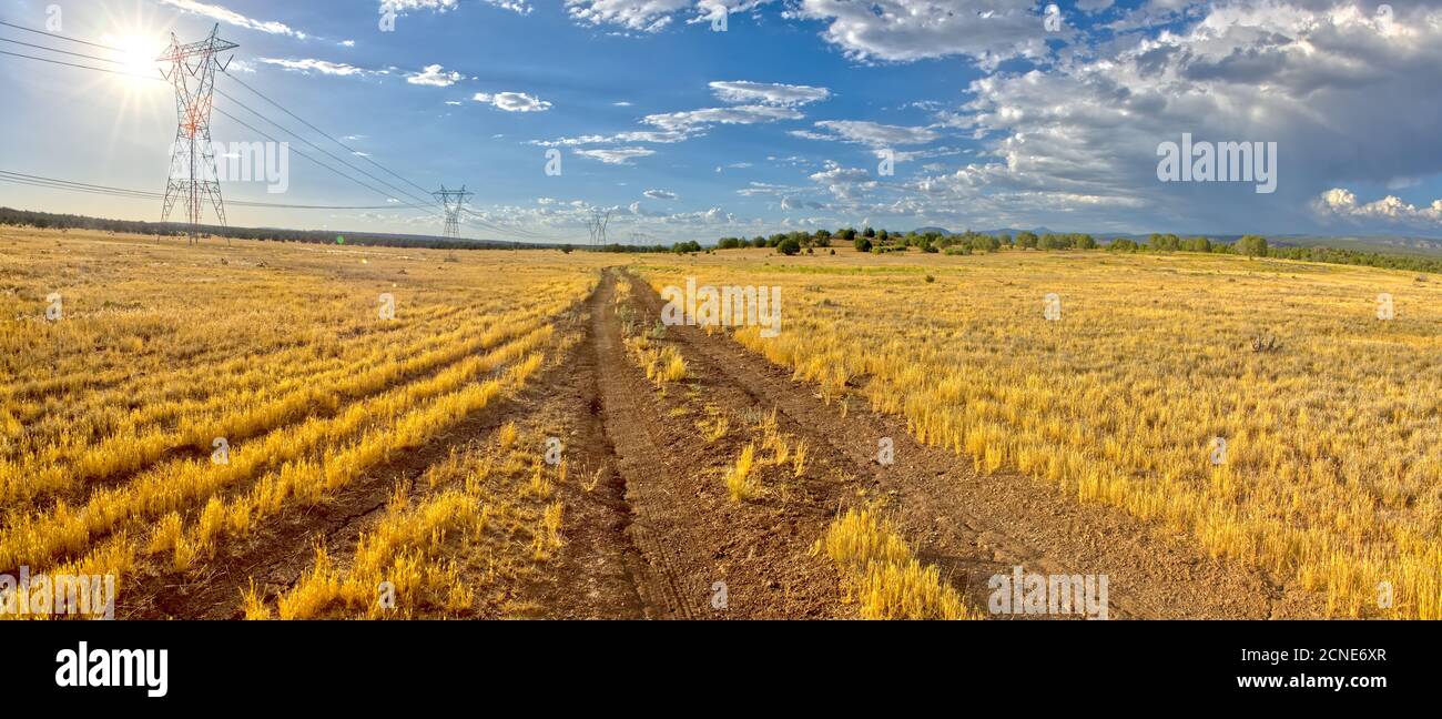 Route étroite, route de feu 182, et prairie herbeuse dans la forêt nationale de Prescott près de Drake, Arizona, États-Unis d'Amérique Banque D'Images