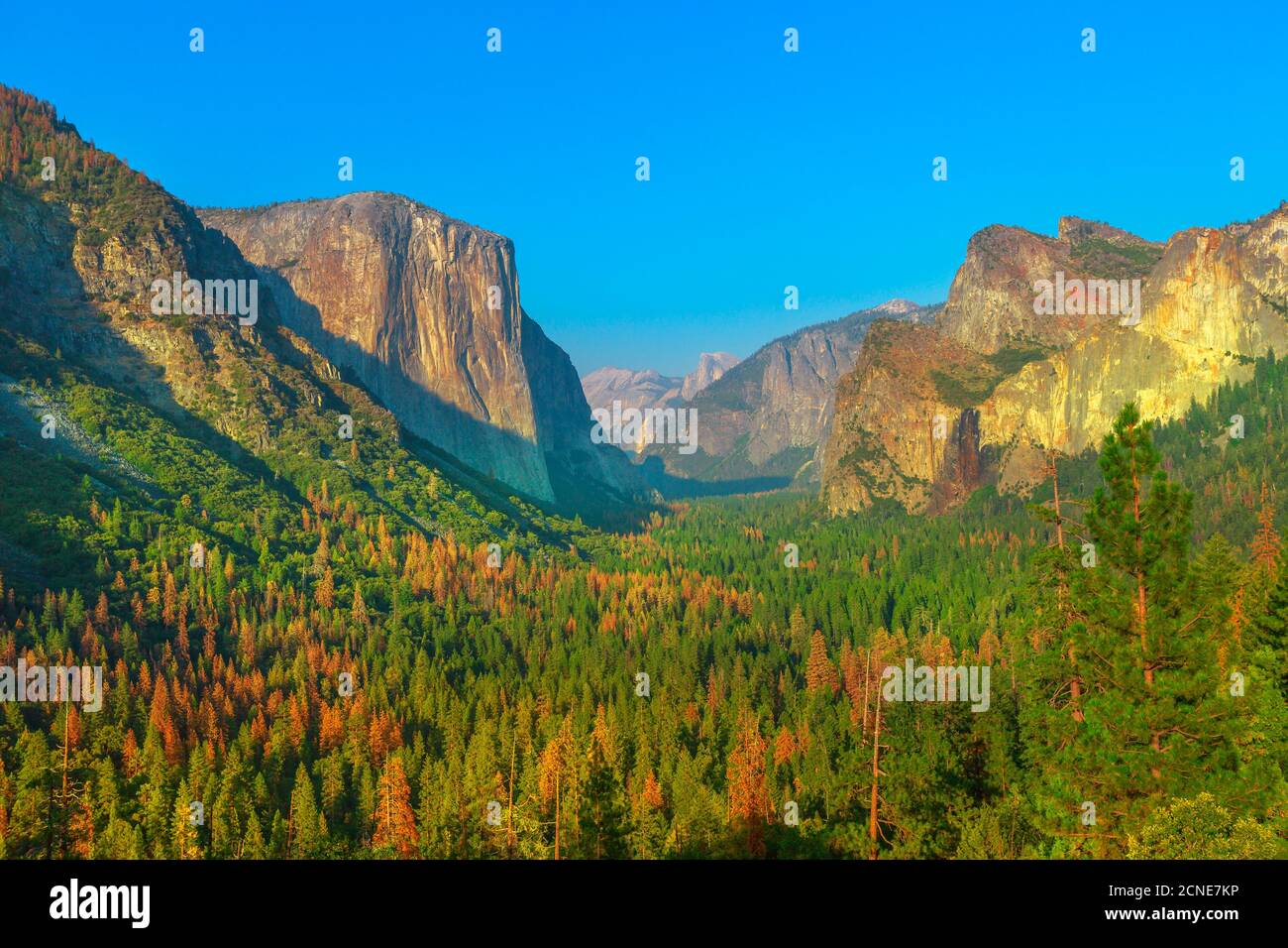 Vue sur le tunnel dans le parc national de Yosemite, vue sur El Capitan et Half Dome, Californie, États-Unis d'Amérique Banque D'Images