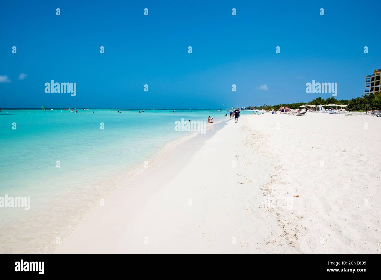 Planche à voile kitesurf sur la plage d'Hadicurari, Aruba, les îles ABC, les Antilles néerlandaises, les Caraïbes, l'Amérique centrale Banque D'Images