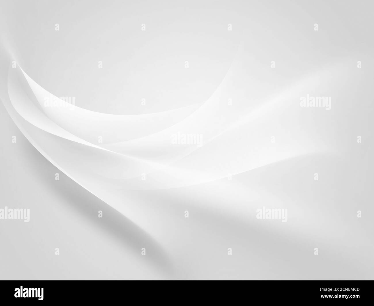 Fond blanc Banque D'Images