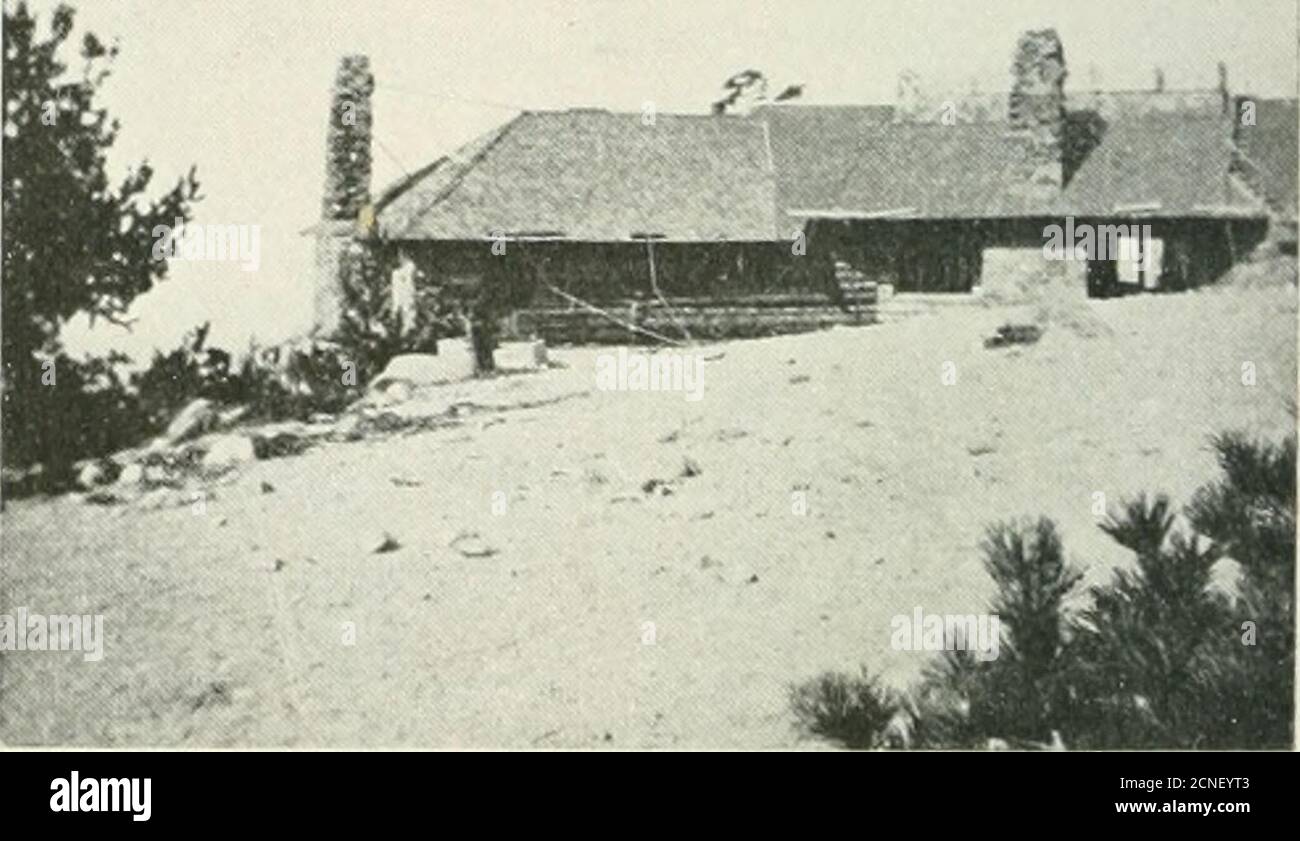 . Minerai d'oiseau . ^ tiges de l'auberge ! Le plaisir de la vue a été doublé par le reflet que tel thingscould être si près d'un hôtel, même sur une montagne éloignée. C'était très agréable de voir les oiseaux de la famille qui se sont élevés dans la maison. Vous pouviez vous asseoir dans la porte avant et quand vous n'êtes pas absorbé par la vue sur les trois sommets enneigés émerveillants - St. Helens, Rainier, et Adams - risingau-dessus de la chaîne de Cascade, pourrait voir Oregon Juncos, Stellers Jays, Oregon Jays, et des casse-noisettes descendre à la fontaine à vingt pieds de distance ; Tandis que le Ruby Kinglet et blanc - *Lire avant les ornithologues américains dans Banque D'Images
