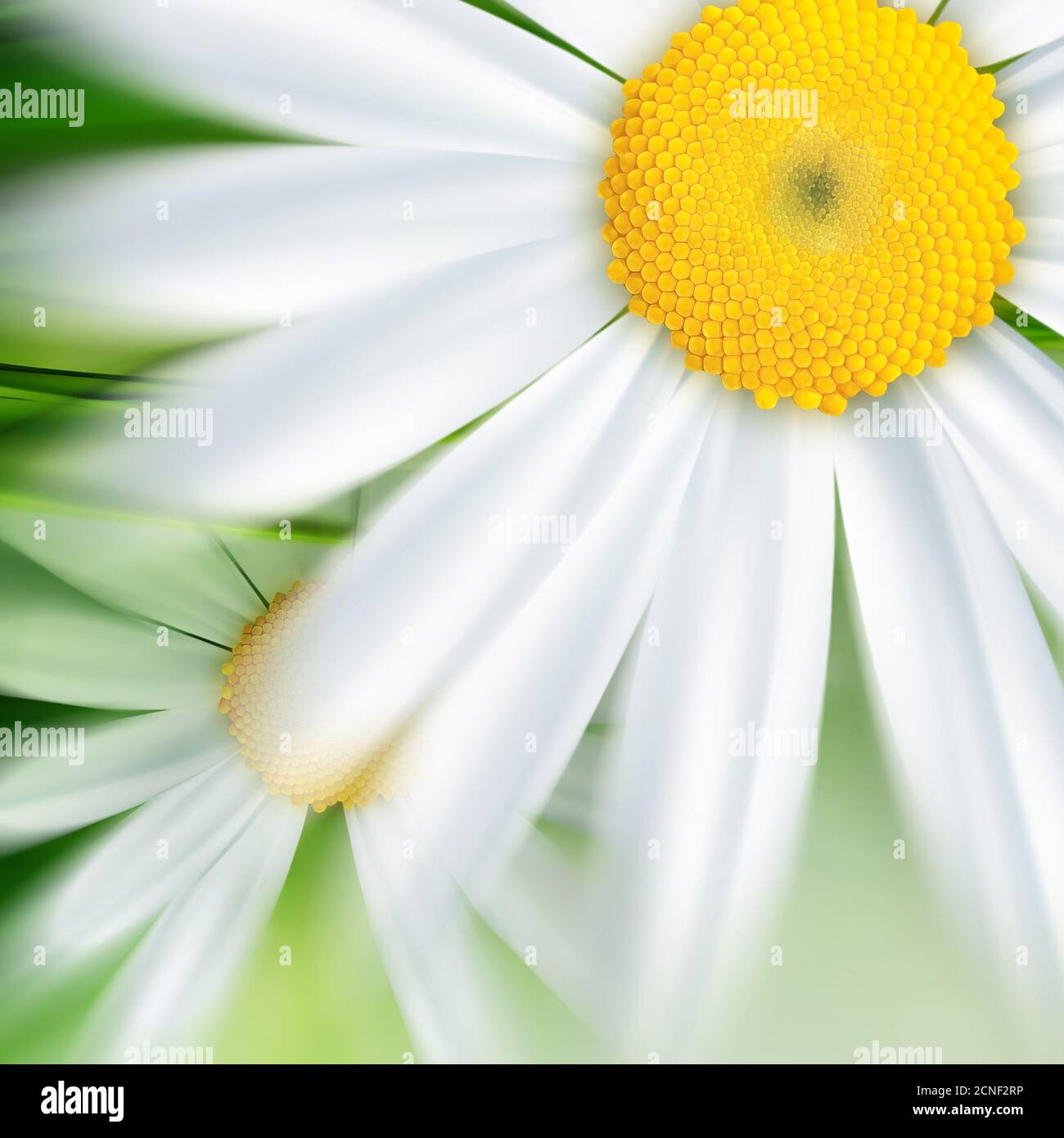 Nature fond Banque D'Images