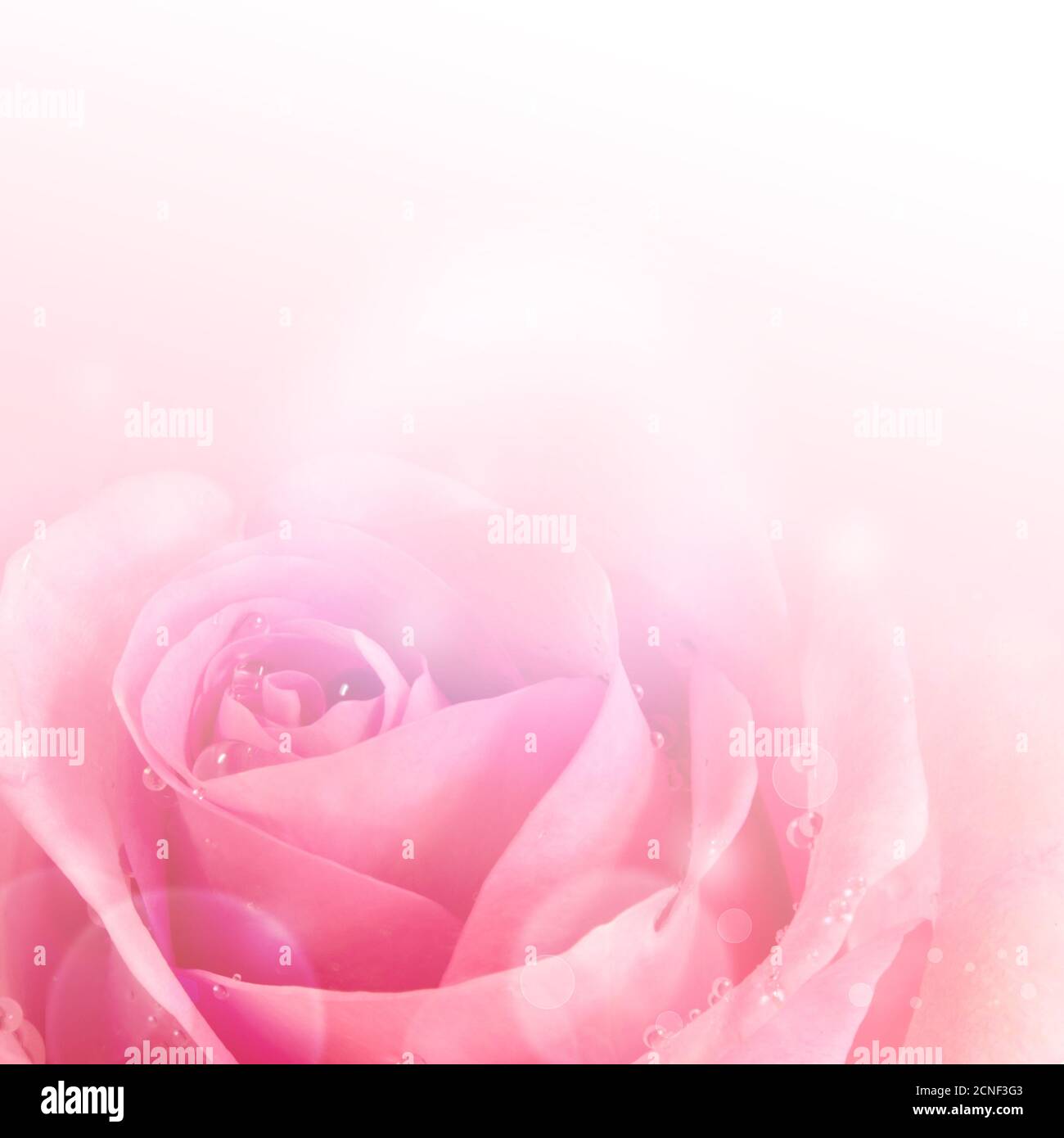 Fond romantique Banque D'Images