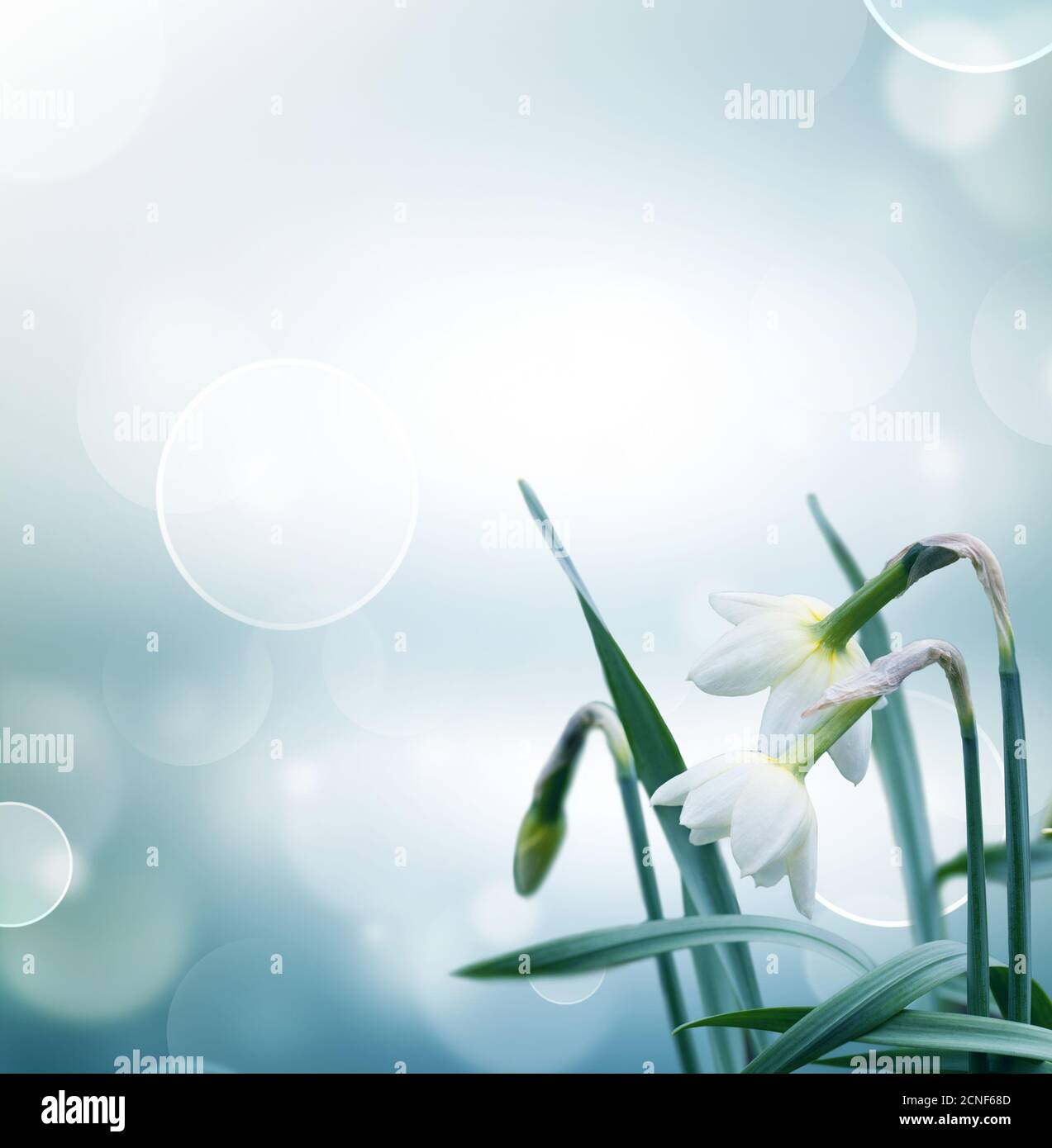 Résumé fond printemps Banque D'Images