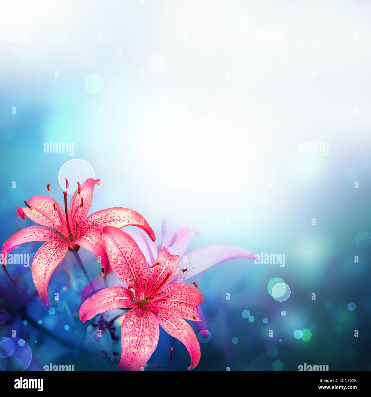 Floral background Banque D'Images