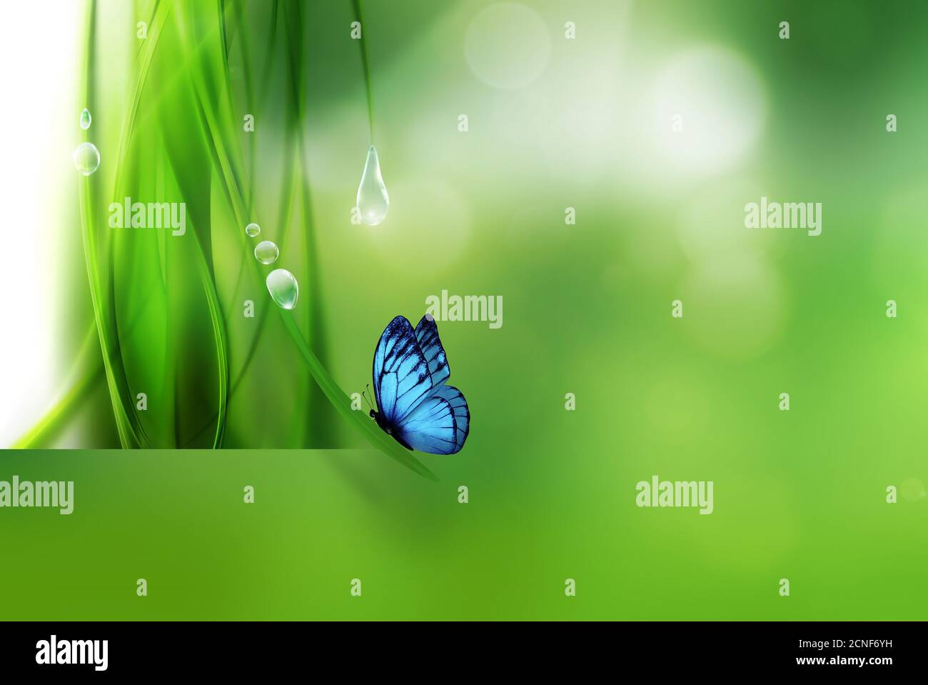 Nature fond Banque D'Images