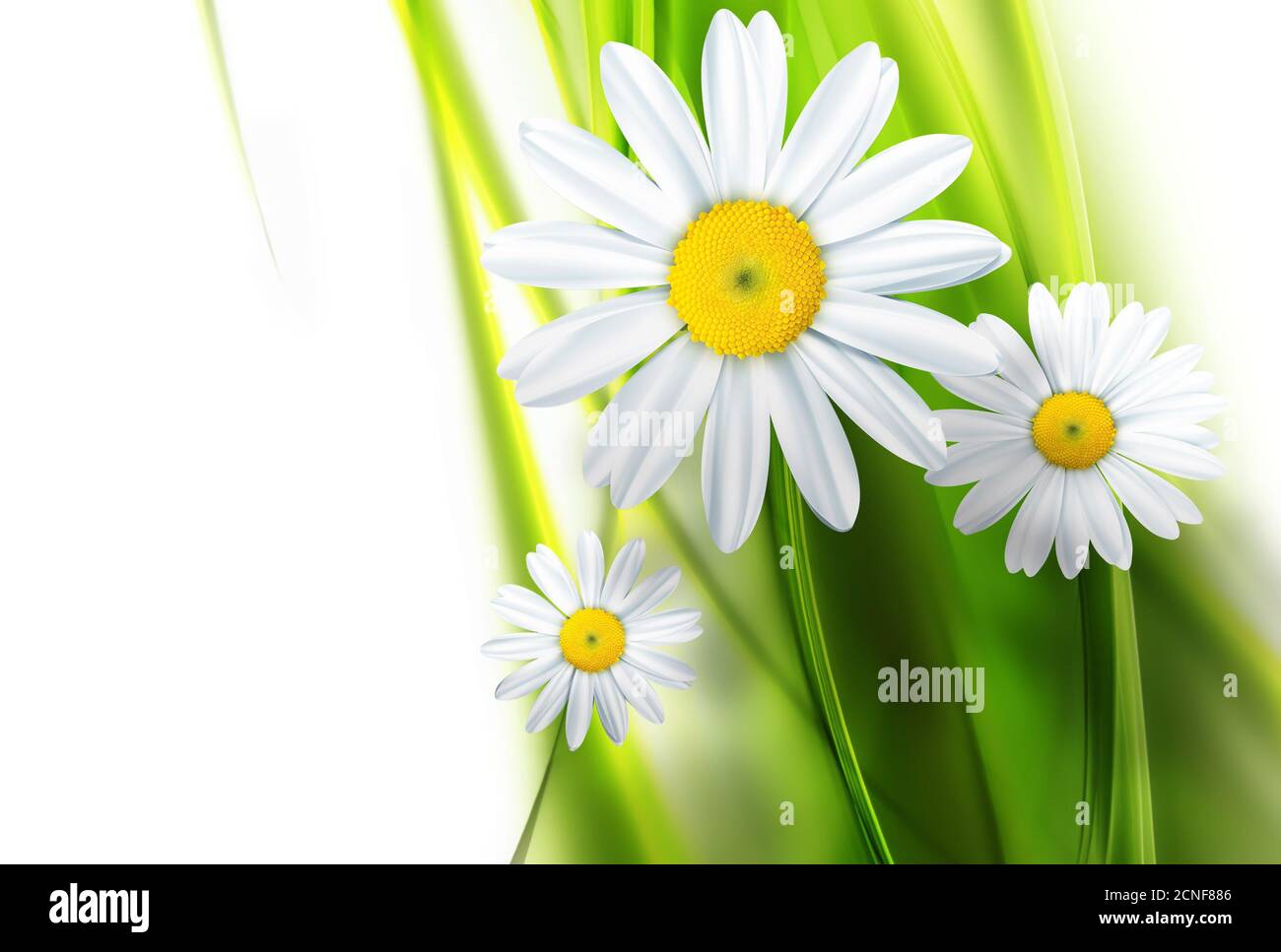 Nature fond Banque D'Images