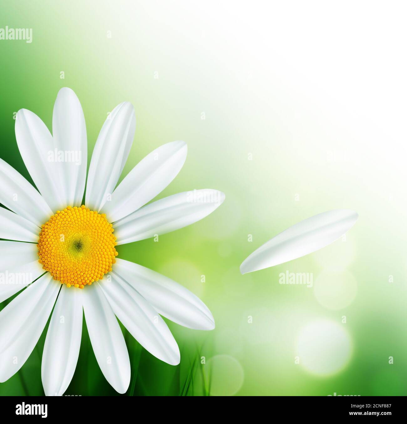 Nature fond Banque D'Images