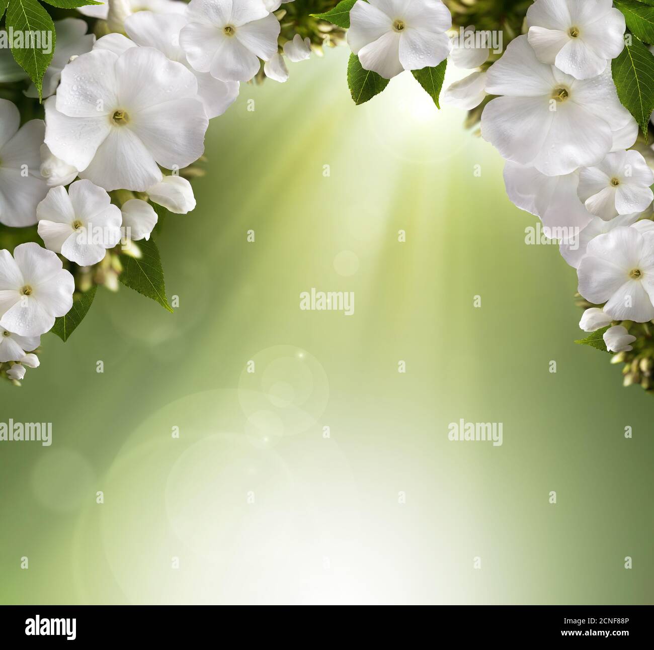 Natural Background Banque D'Images