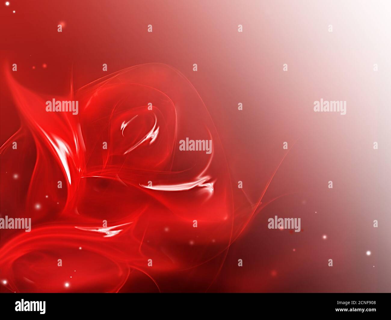 rose rouge Banque D'Images