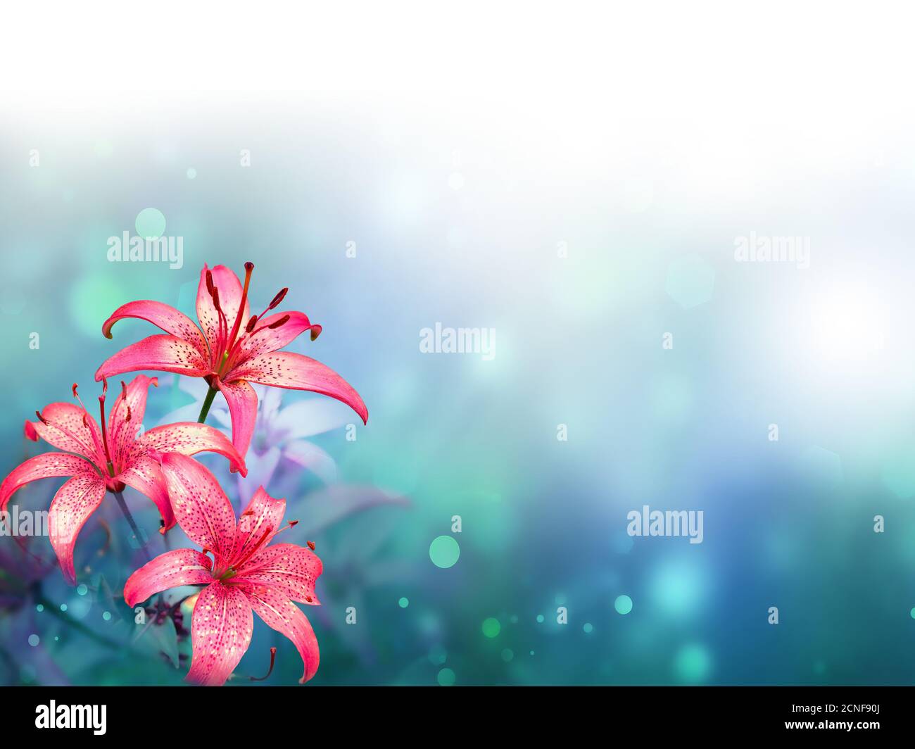 Floral background Banque D'Images