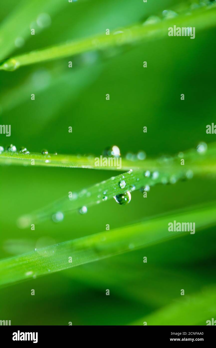Nature fond Banque D'Images
