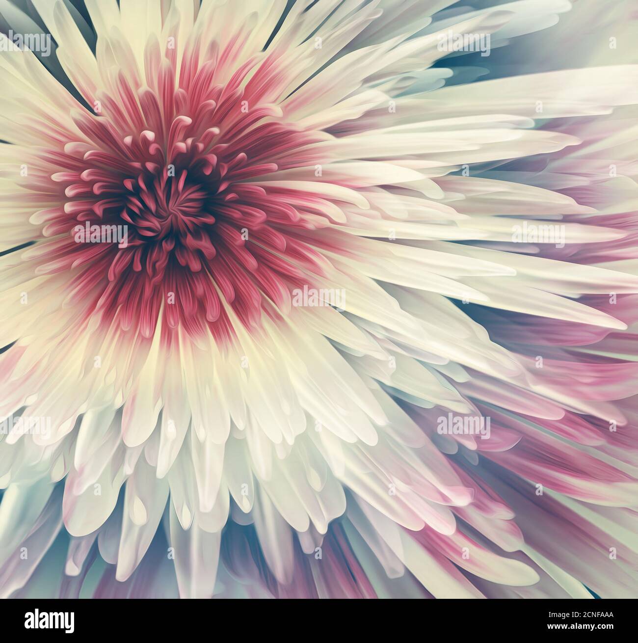 Belle fleur blanche Banque D'Images