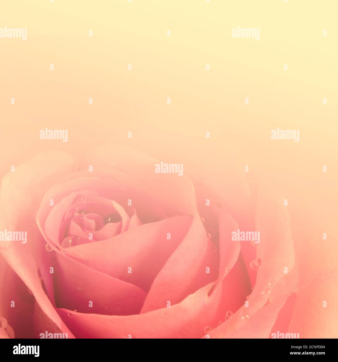 Fond romantique Banque D'Images