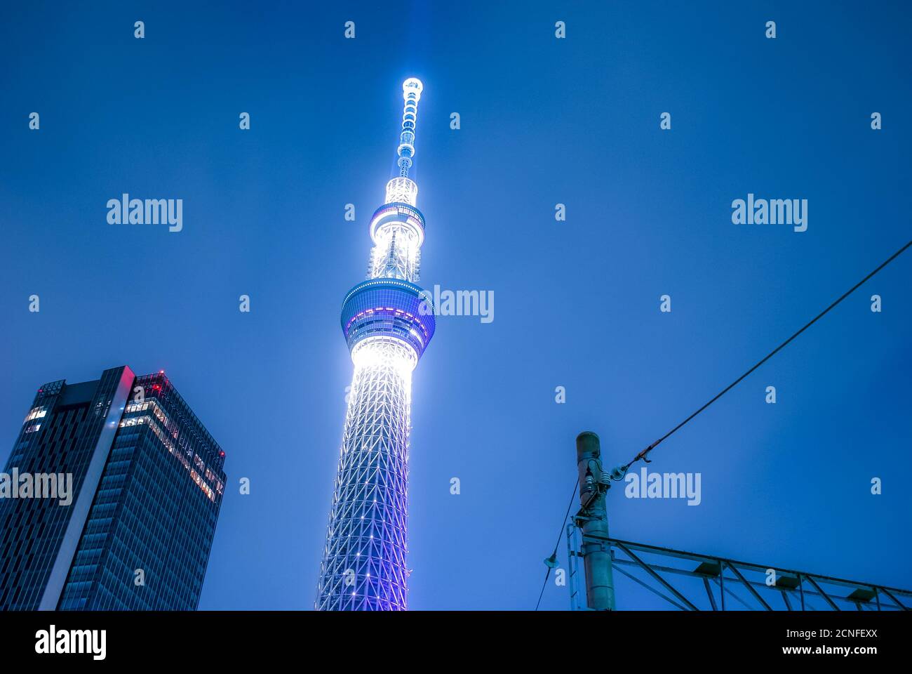 Vue nocturne sur le Tokyo Sky Tree Banque D'Images