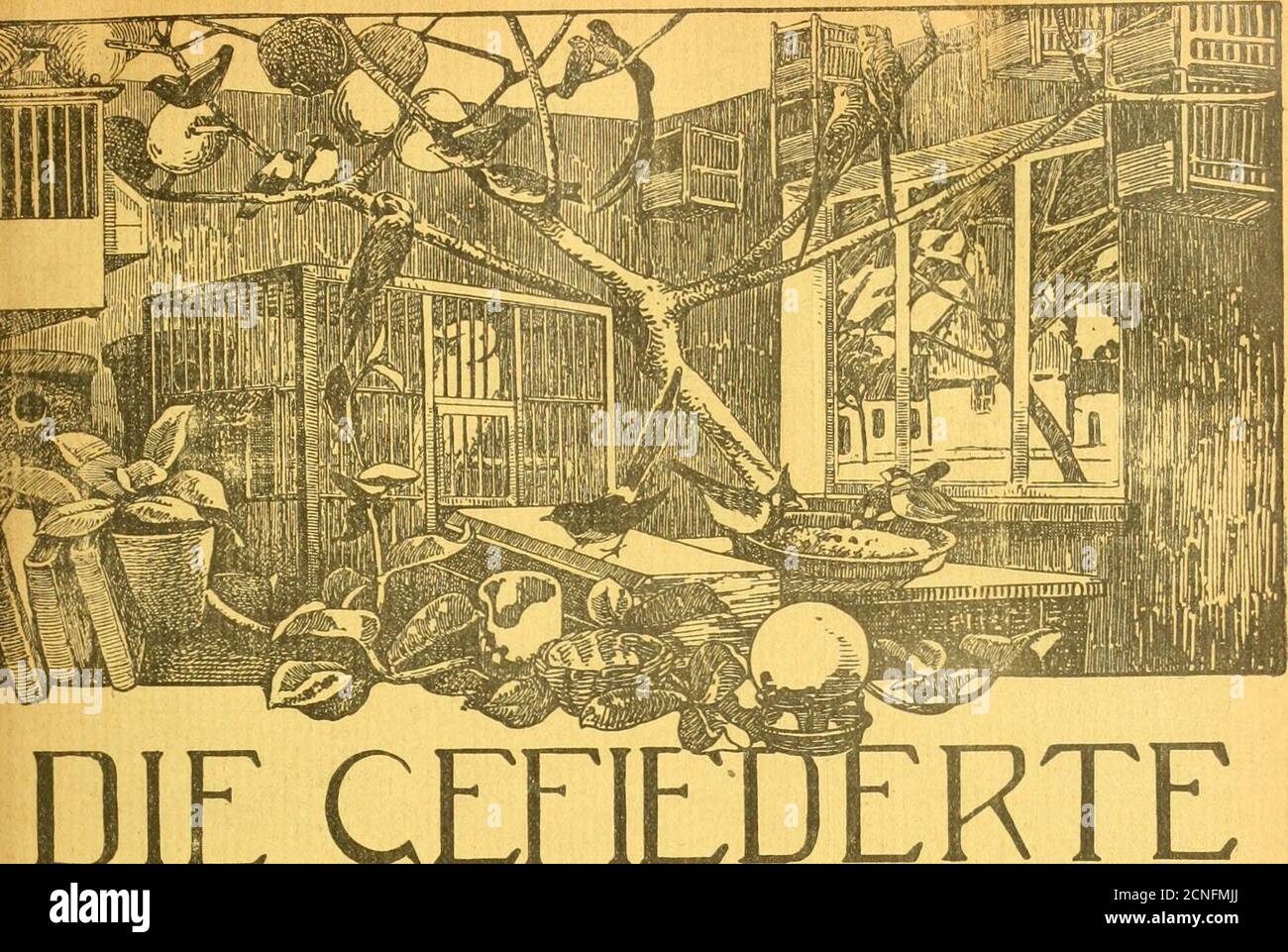 . Die Gefiederte Welt . 160. 170. 190.192. 240. 280. 334. 362. 365. 306.391. 410.„ , gelber 48. 365. 391.SBenbebalä 169. 182. 216. 258. 335.SBiefenpieper 158. „ fdjmägcr I59. 354. 310.ifflilbgan« 367. „ taube 103. 369.Sßütget 103. 268.aSütgfdinäppet 108. (24 . .). Uhina nigrimentum (Hodgt.) 236. Saunammer (48 . .). „ graSmüde 169. 182. 106. 316. , lönig 38. 101. 102. 127. 169. 161. 103*.271. 278. 287. 294. 312. 343. «00. „ „ timalie 206*. 207. 234.gebrafinl 105. 177. 200. 240. 272. 312. 328.335. 368. 305. 416. ,, täubcSen 10.Sing, mejitan. (266).3ereäfinl 113. 10 a. (80).aitroncnjeing 177. 23 Banque D'Images