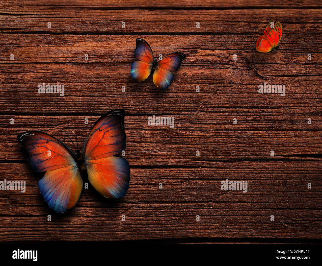 Natural Background Banque D'Images