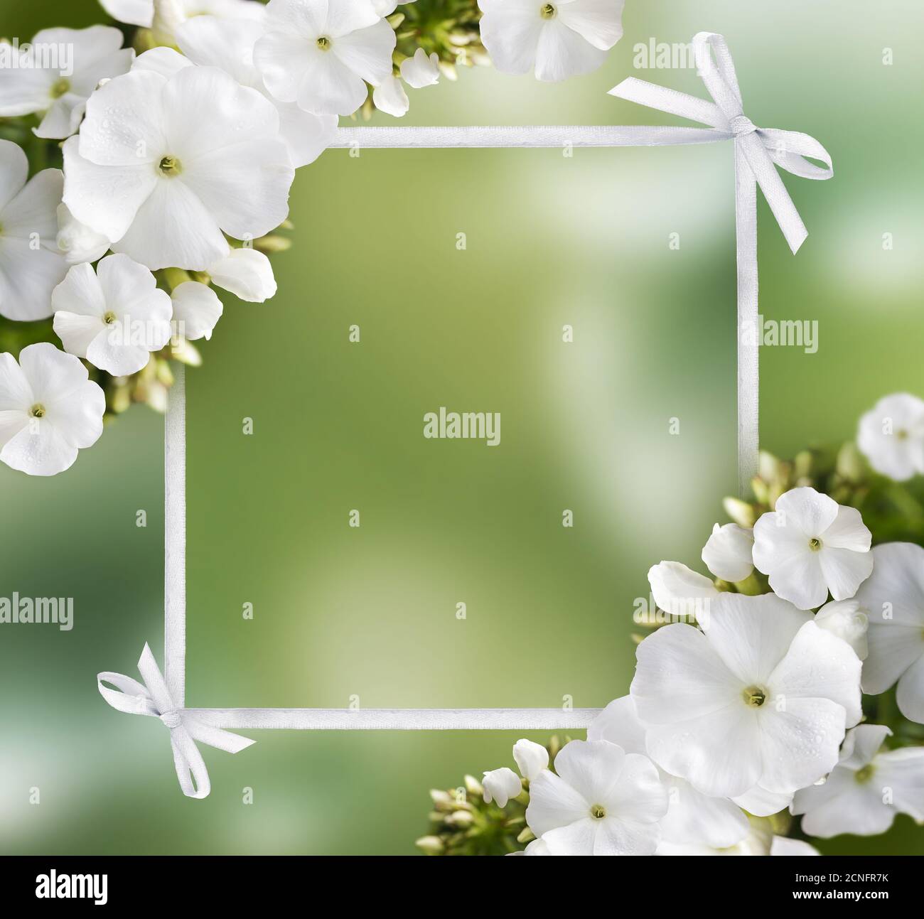 Natural Background Banque D'Images