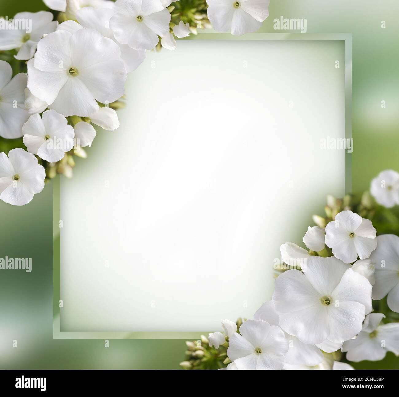 Natural Background Banque D'Images