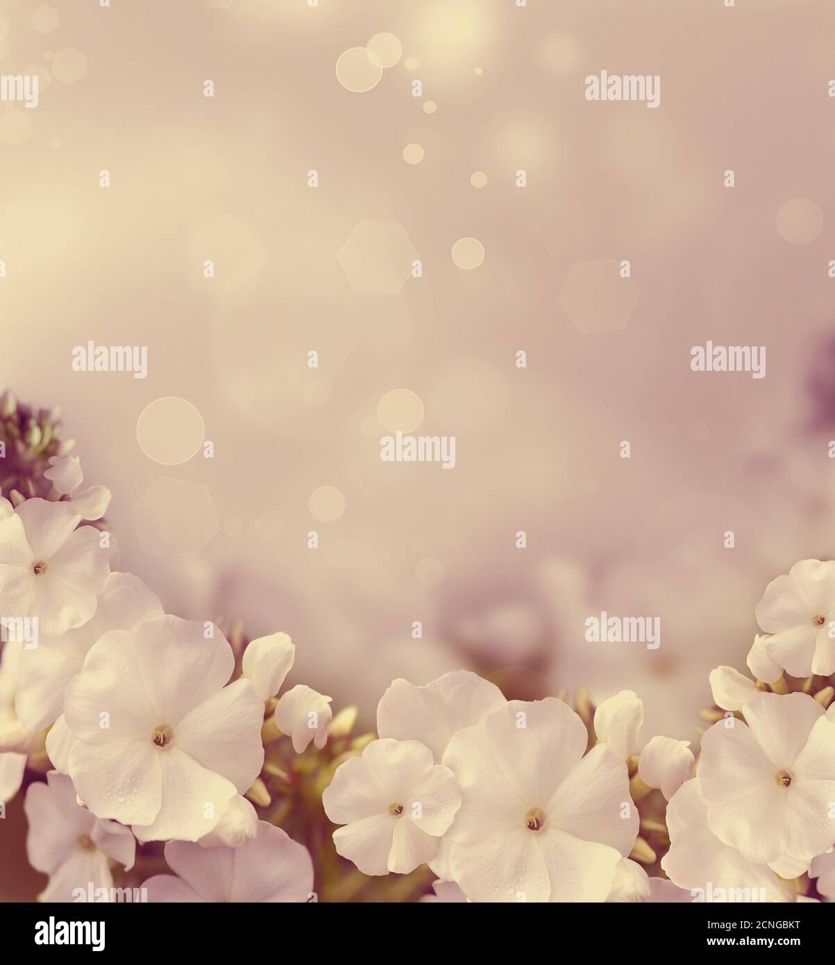 Natural Background Banque D'Images