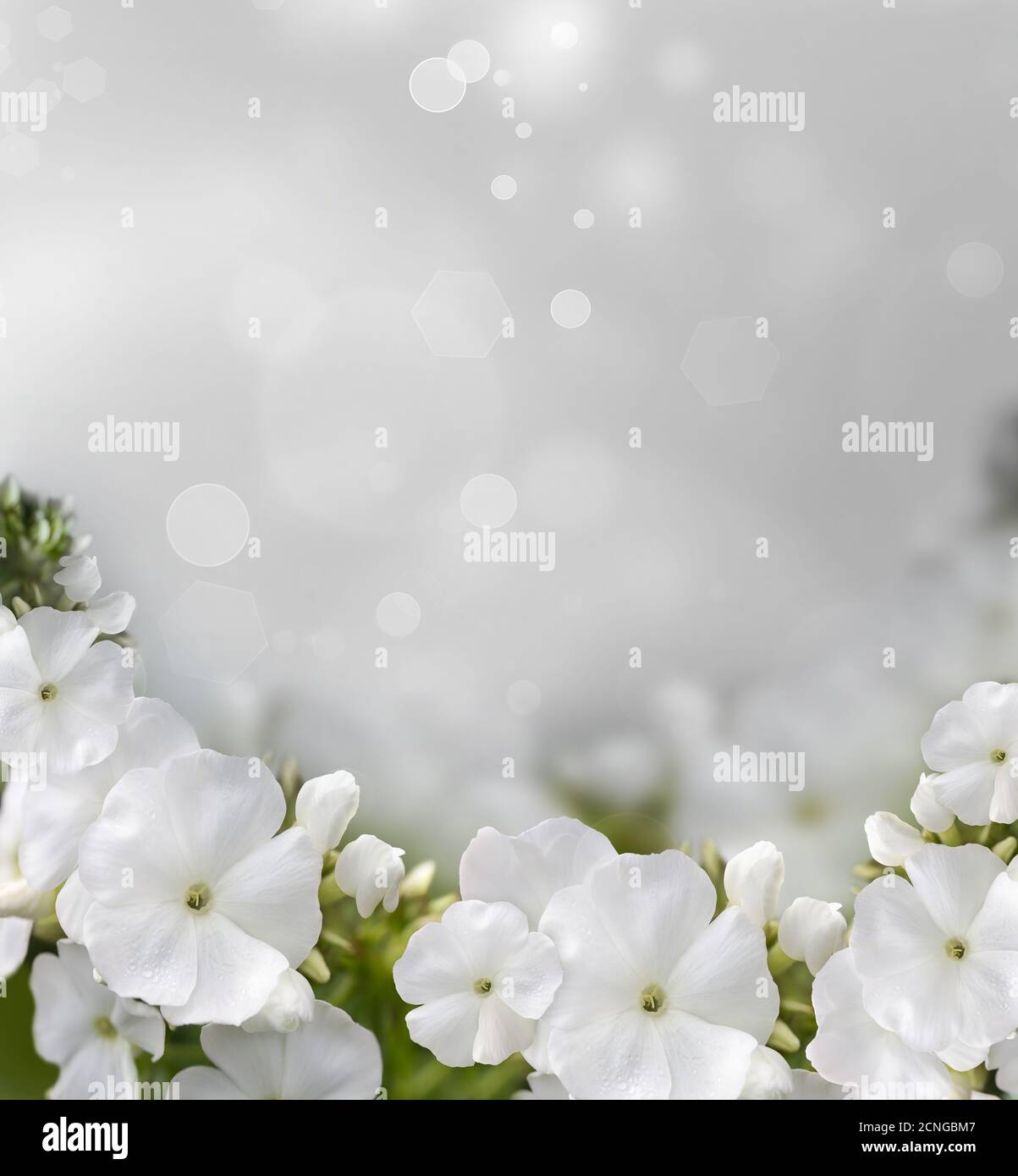 Natural Background Banque D'Images