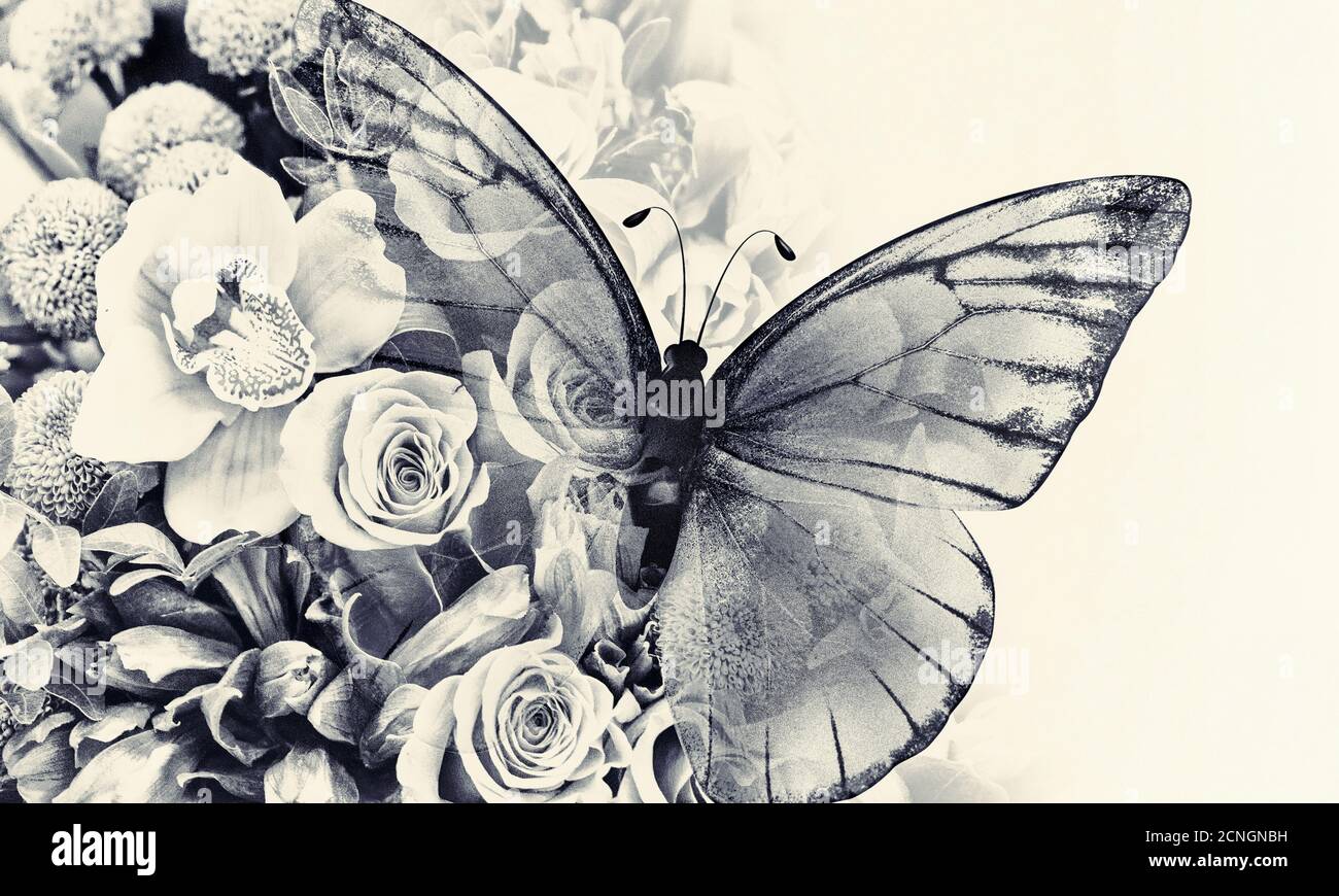 papillon avec fleurs Banque D'Images