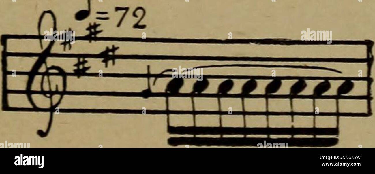 . La vie familière dans les champs et les forêts; les animaux, les oiseaux, les grenouilles et les salamandres . ife A Savannah Cricket{Acris gryllus). 8 LA VIE FAMILIÈRE EN CHAMP ET EN FORÊT. Du Hyla y il n'y a pas de tampons distincts sur les thétoes,* et par conséquent il est rarement, voire jamais, ascendrès ou buissons. Sa couleur générale est variable. Avec le crapaud de l'arbre {Hyla versicolor) il possède un pouvoir de coupe-tain de changement de couleur, ou métachrose, et alors qu'il peut être vert terne dans un environnement de feuilles vertes, parmi les morts il est tout aussi comme-ly d'être brun. Il y a un timbre triangulaire très caractéristique noir entre les yeux, la laque Banque D'Images