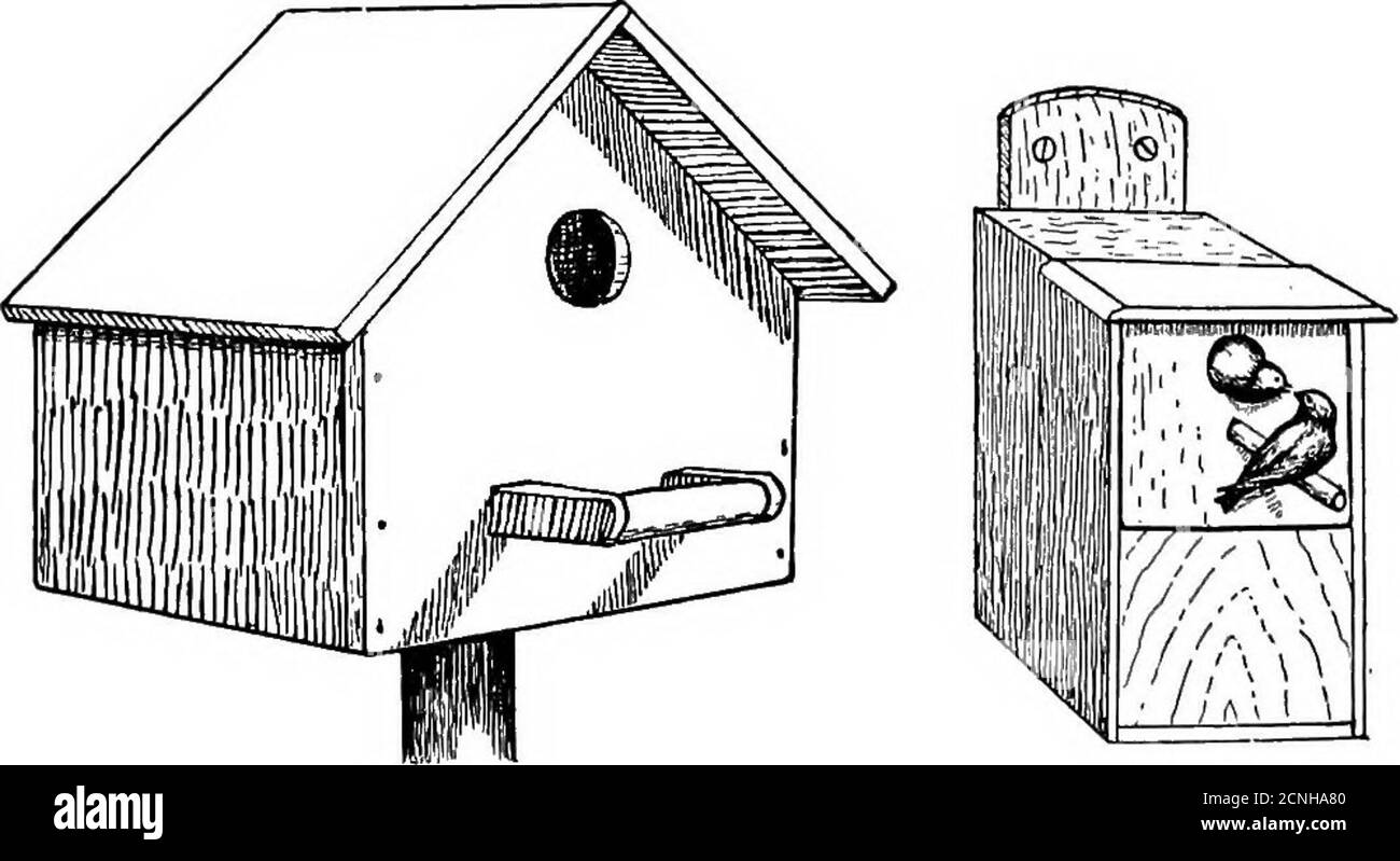 . Oiseaux utiles et leur protection. Contenant de brèves descriptions des espèces les plus courantes et utiles du Massachusetts, avec des comptes-rendus de leurs habitudes alimentaires, et un chapitre sur les moyens d'attirer et de protéger les oiseaux . Figure 6.. Figure 7. Fig. 8. Porc. 9. PLAQUE XLVII. —Maisons d'oiseaux et boîtes de nidification. Figure 1, boîte de connexion de membre creux ; Fig. 2, maison d'oiseaux en écorce de bouleau ; Fig. 3, boîte à oiseaux en plaques; Fig. 4, case d'épreuves Cat ; Fig. 5, une utilisation pour un ancien entonnoir; Fig. 6, boîte de nidification pour l'écorce de châtaignier; Figures 7et 9, boîtes avec façades coulissantes ; Fig. 8, maison pour l'arbre Swallow. LA PROTECTION DES OISEAUX. 391 Banque D'Images